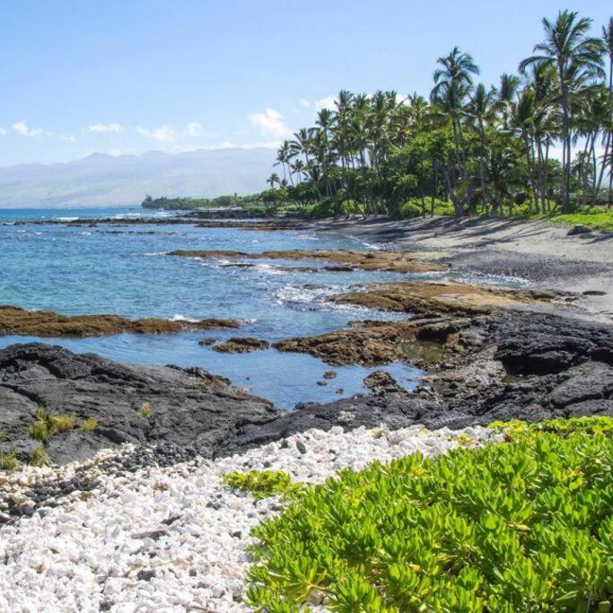 Beautifully Renovated Oceanfront Condo w/ breathe taking Views! - Hale Kona Kai 302 view 4
