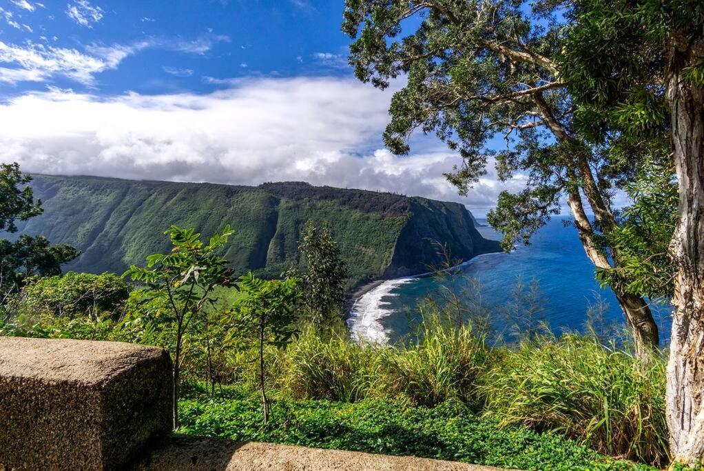 Ocean & Lagoon View Condo! - Hale Kona Kai 309 by Casago Kona view 4
