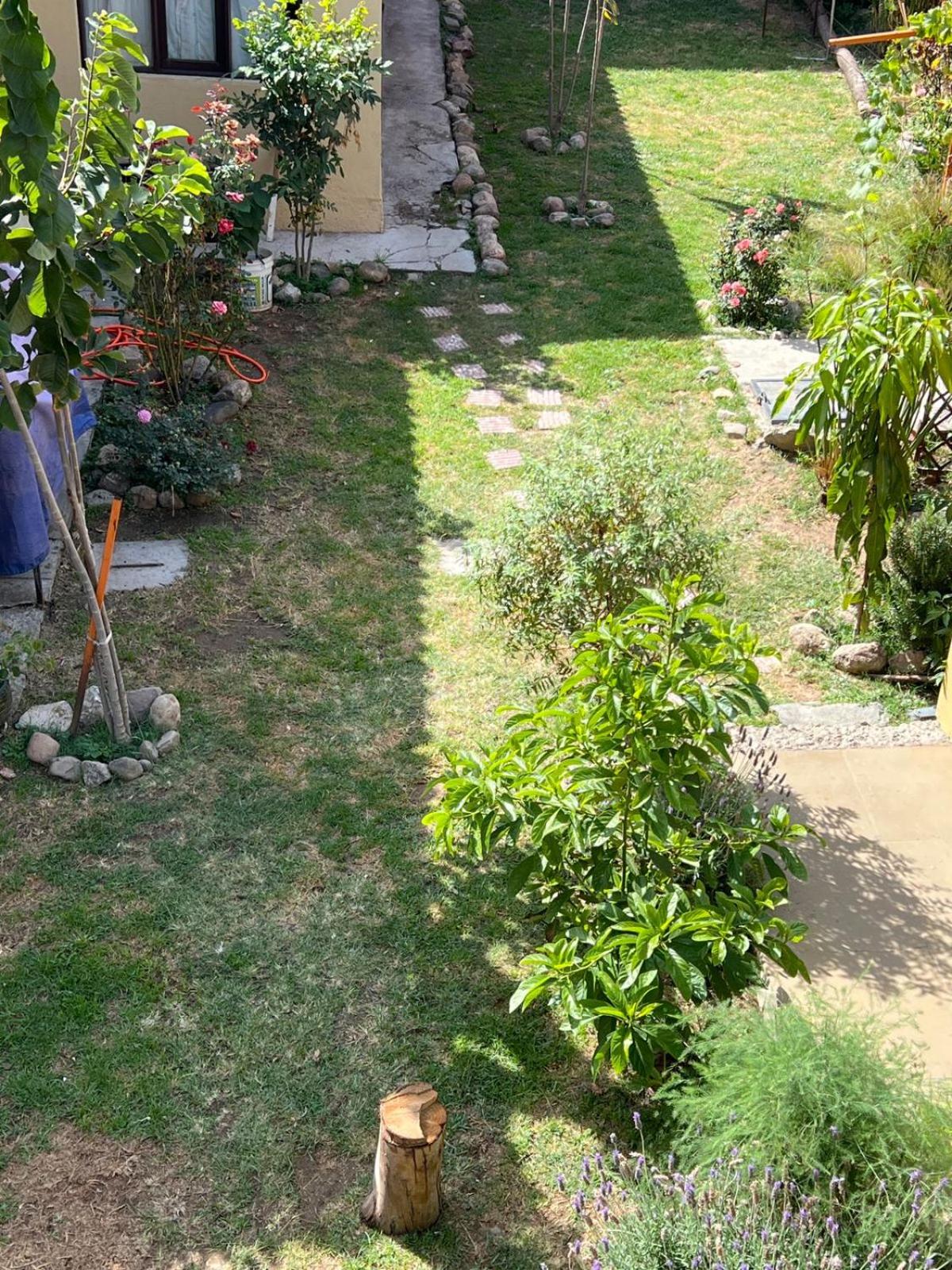 Habitaciones privadas novillo PB