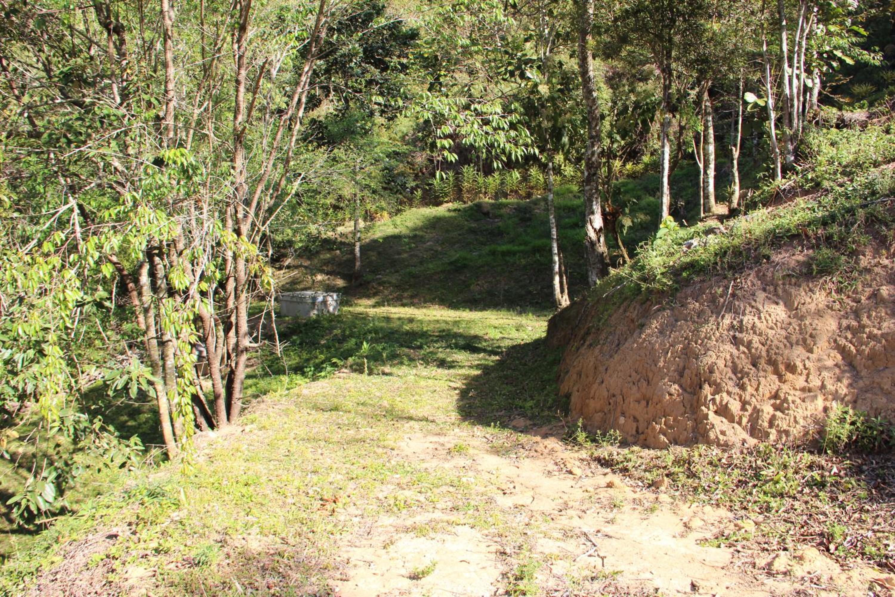 Solar Mirandela