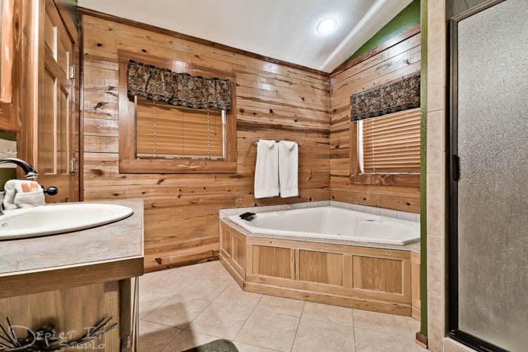 Cabin in the woods WIFI 2 story view 4