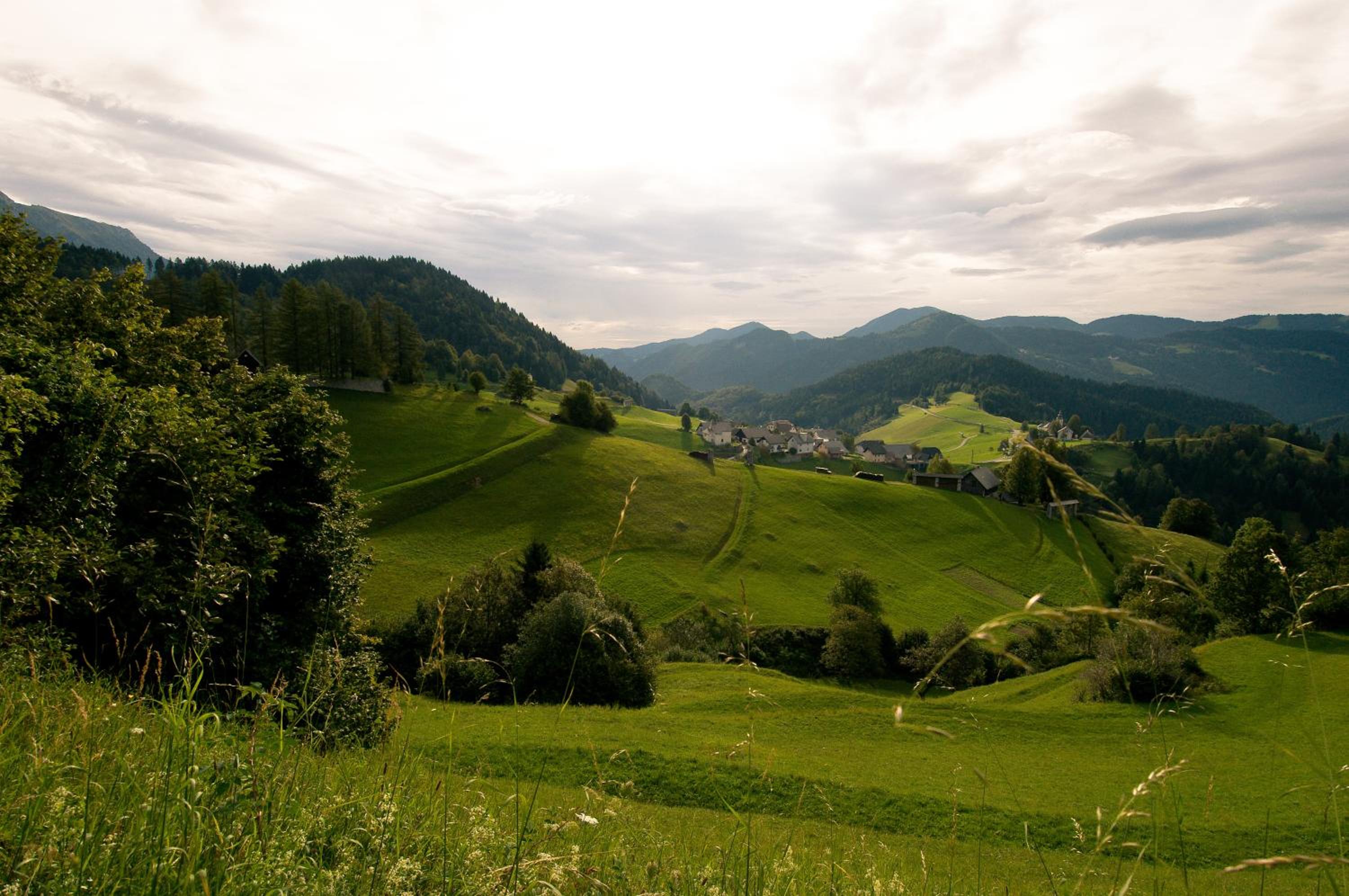Photo 44