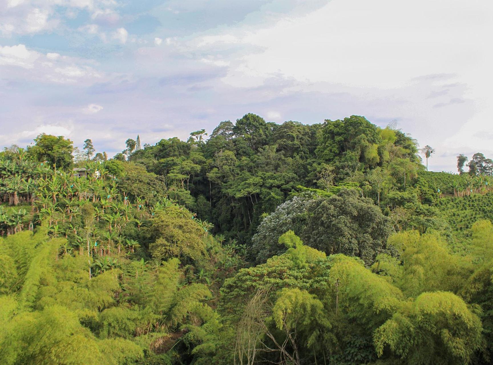 Finca Villa Hermosa