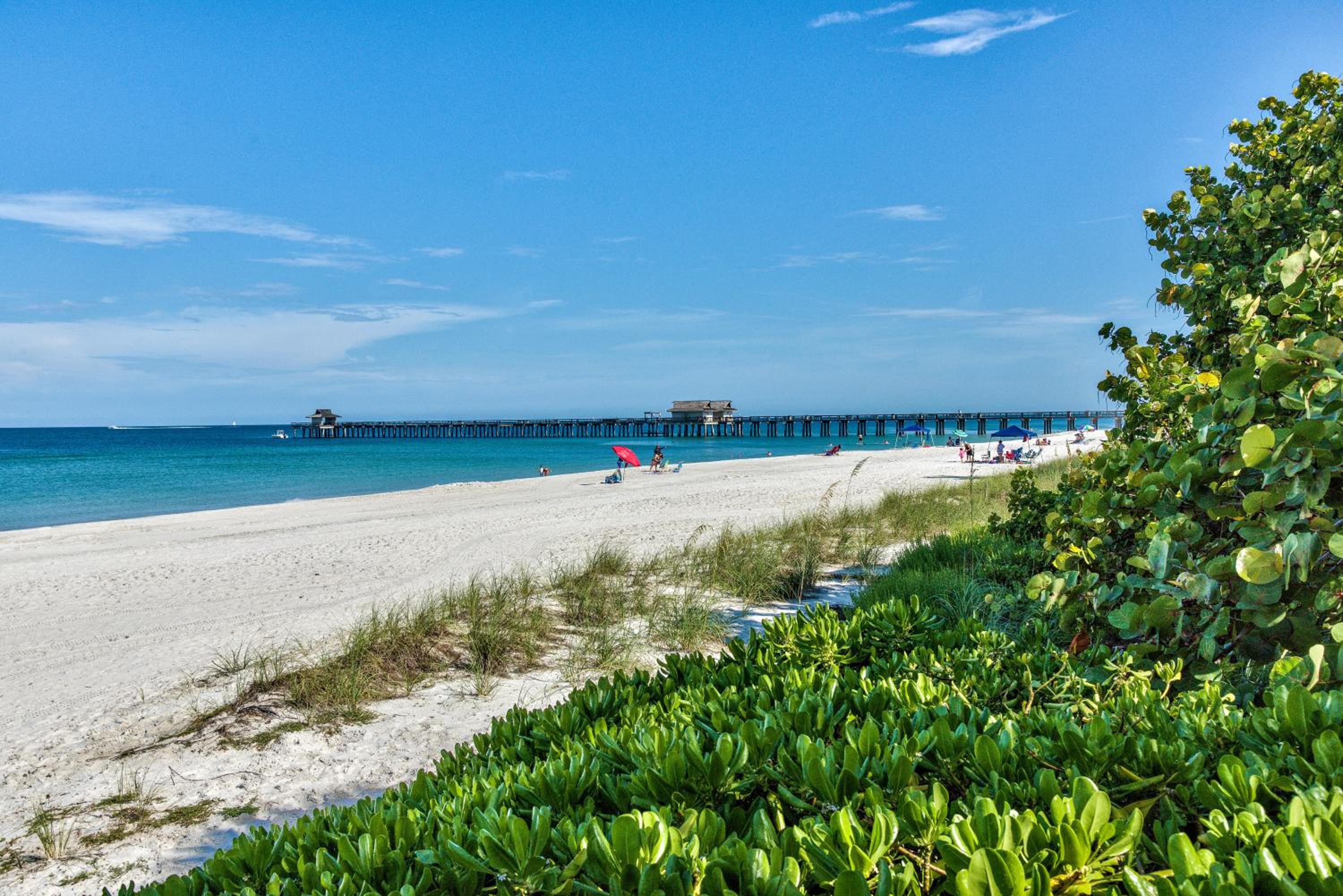 Le Monaco - 1 BR Romantic Condo! Getaway Steps from 5th Ave S Stylish Coastal Retreat with King Bed Beach Access and Prime Location, Near Dining Shopping a view 3