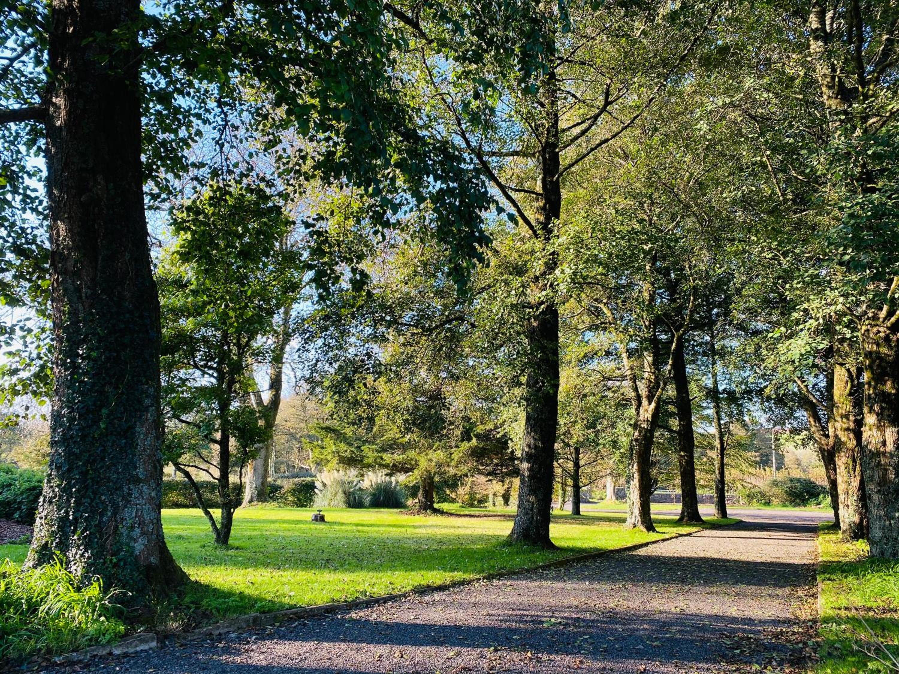 other