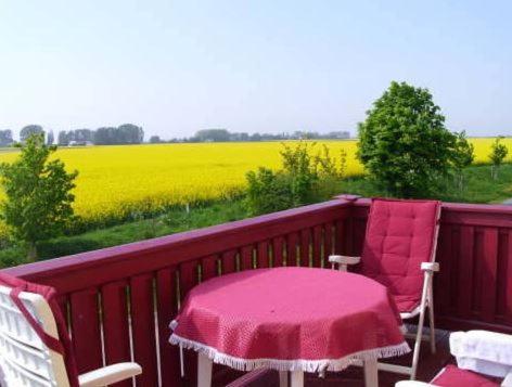 Ferienwohnungen Rügen mit Hund