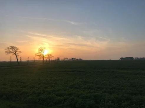 Ferienwohnungen Rügen mit Hund