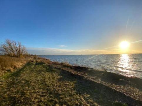 Ferienwohnungen Rügen mit Hund