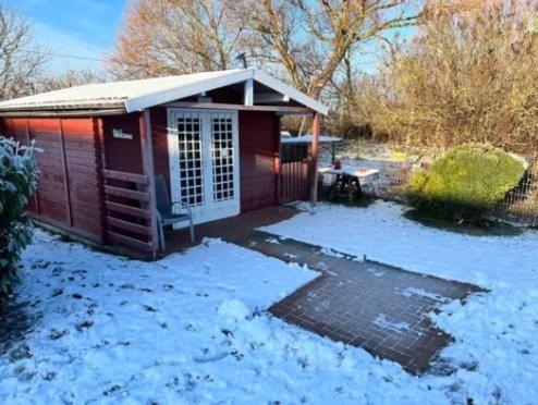 Ferienwohnungen Rügen mit Hund