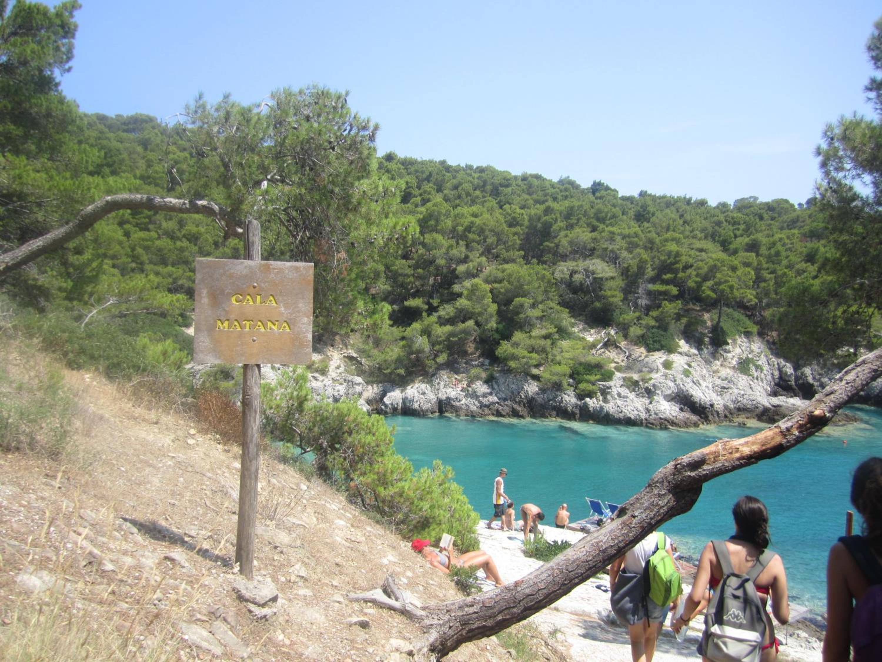 Photo 42