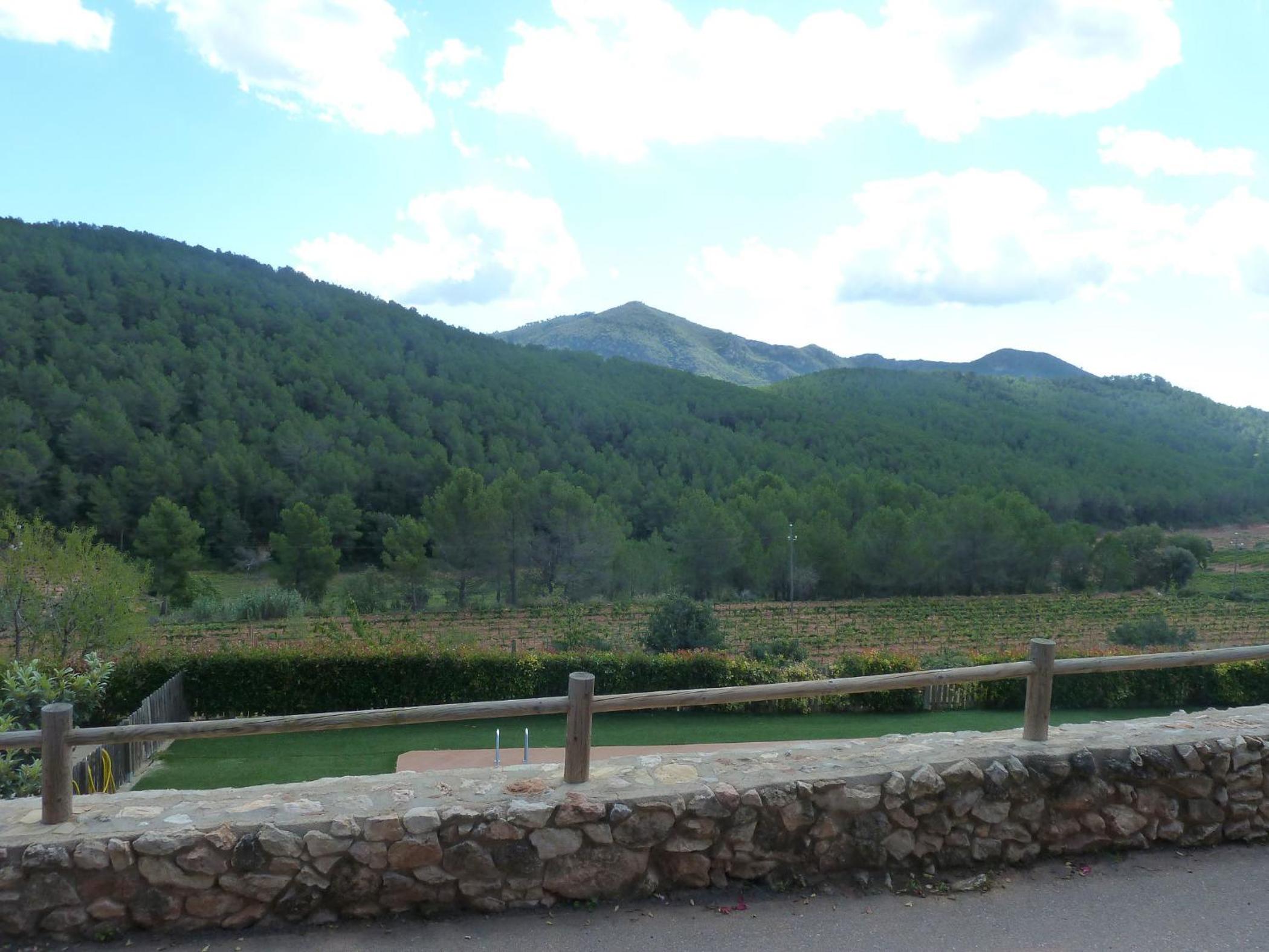 Photo 6