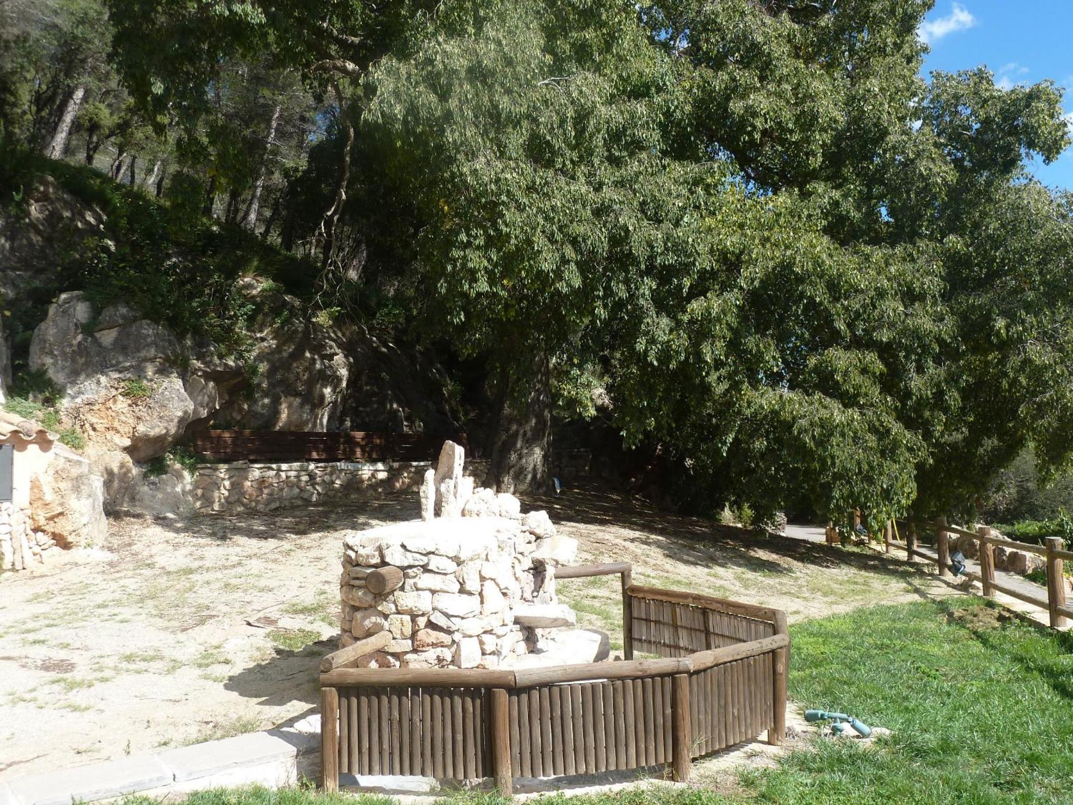 Photo 10