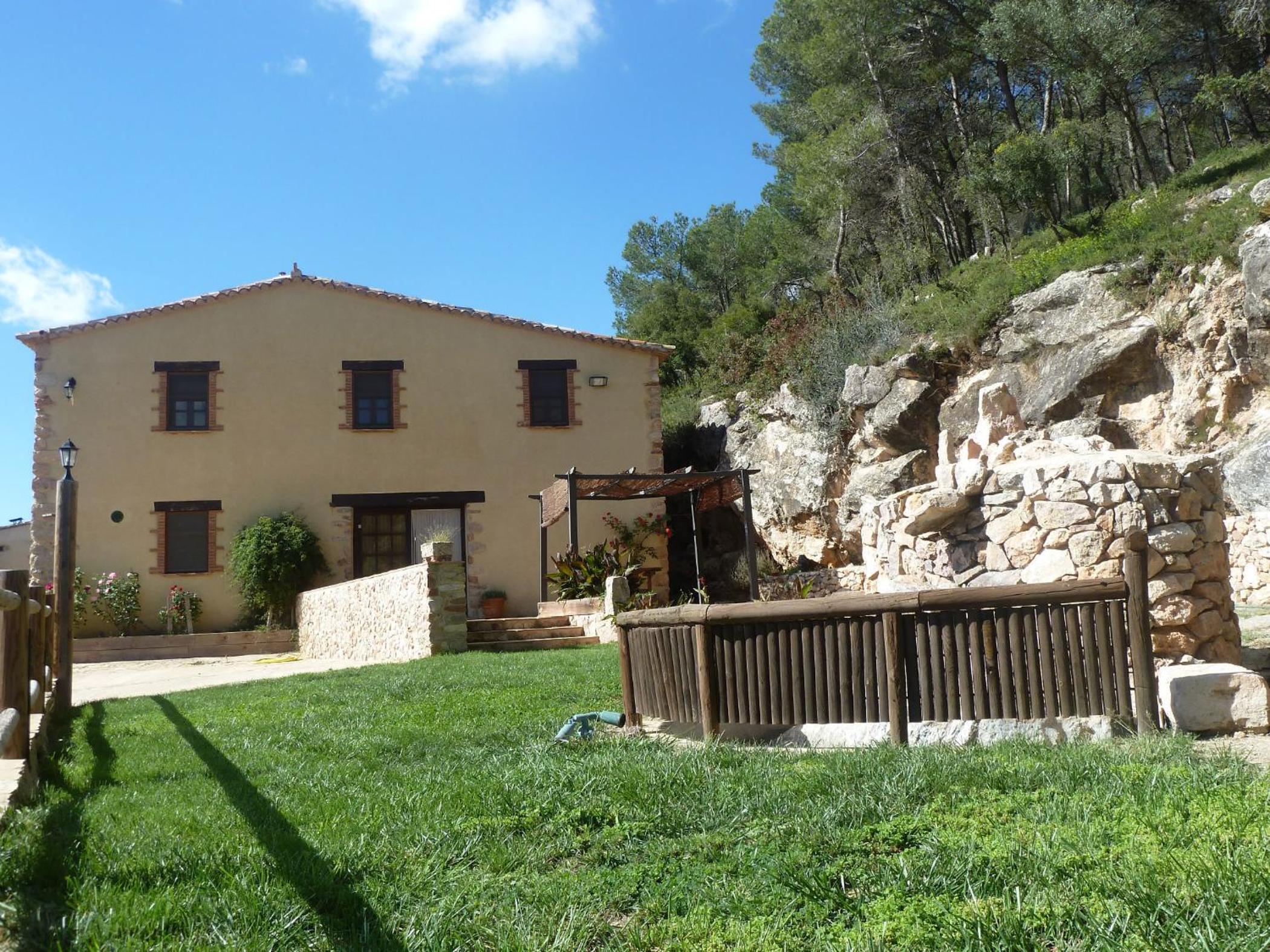Photo 11