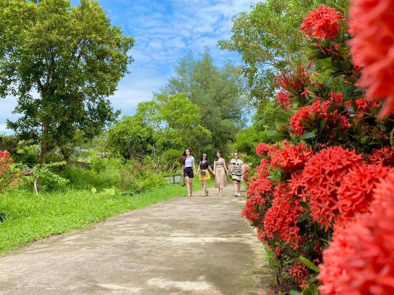 Cô Tô Lương Chi, photo 21