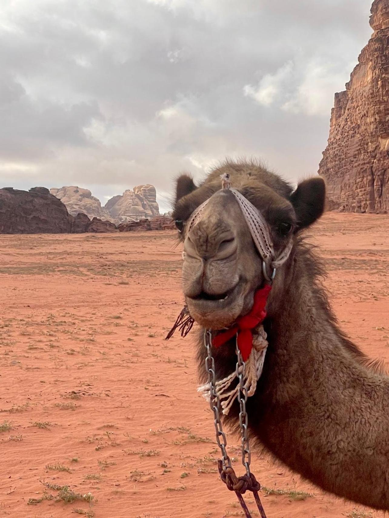 Wadi Rum Meteorite camp