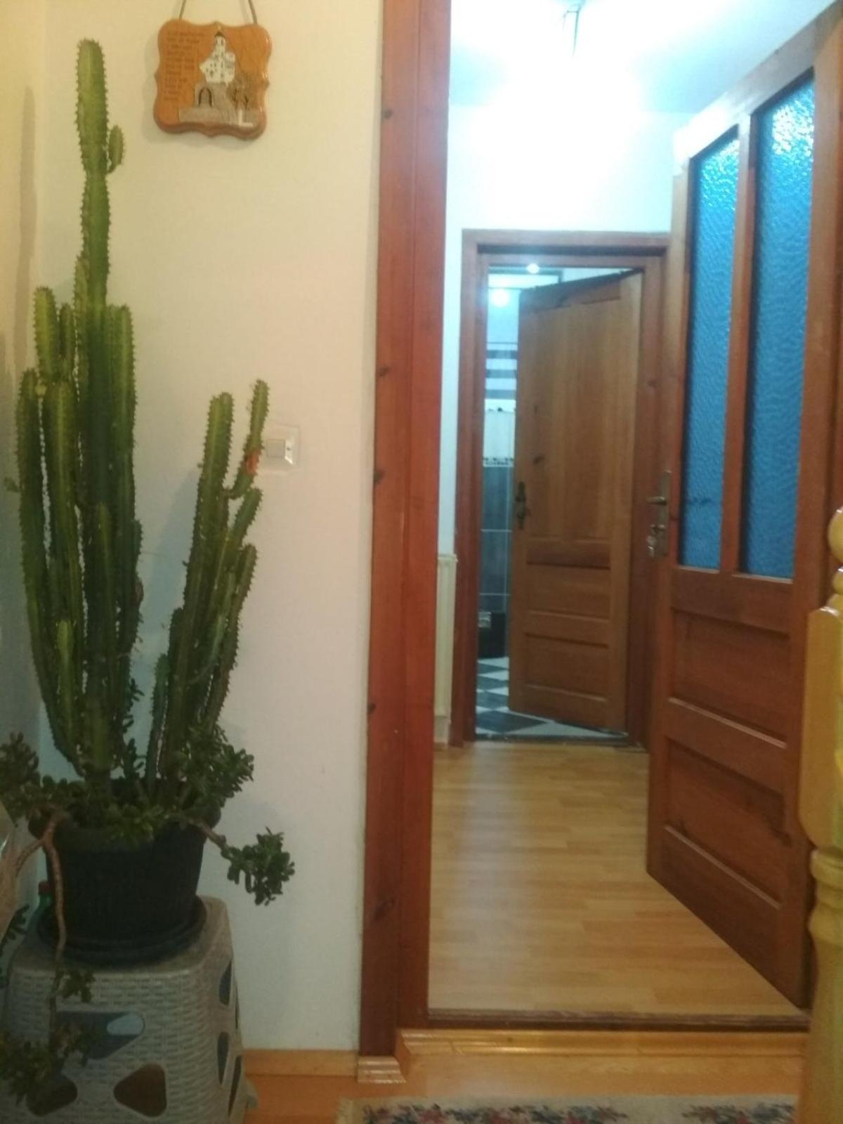 Dušanov Konak view 2