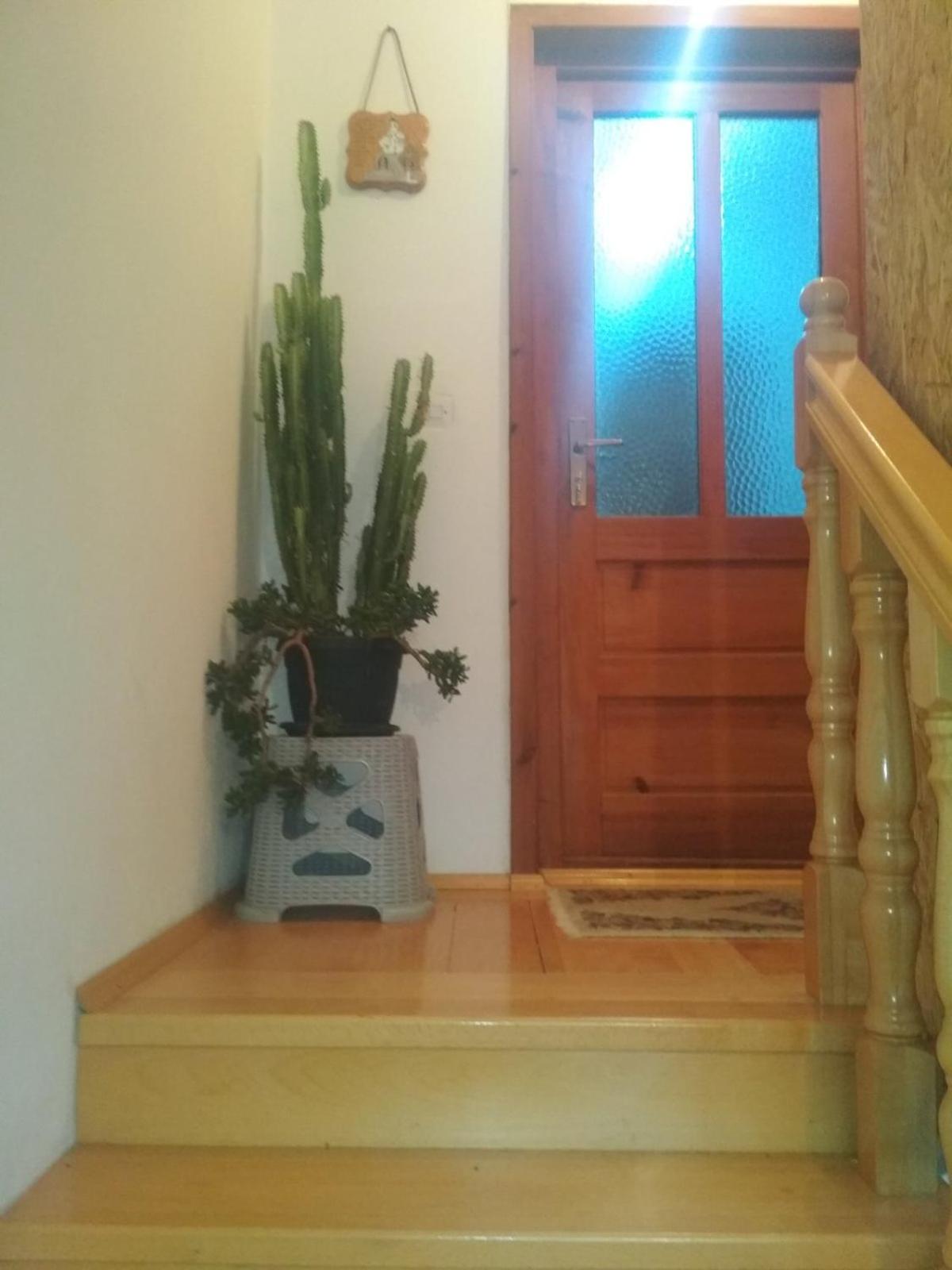 Photo 34