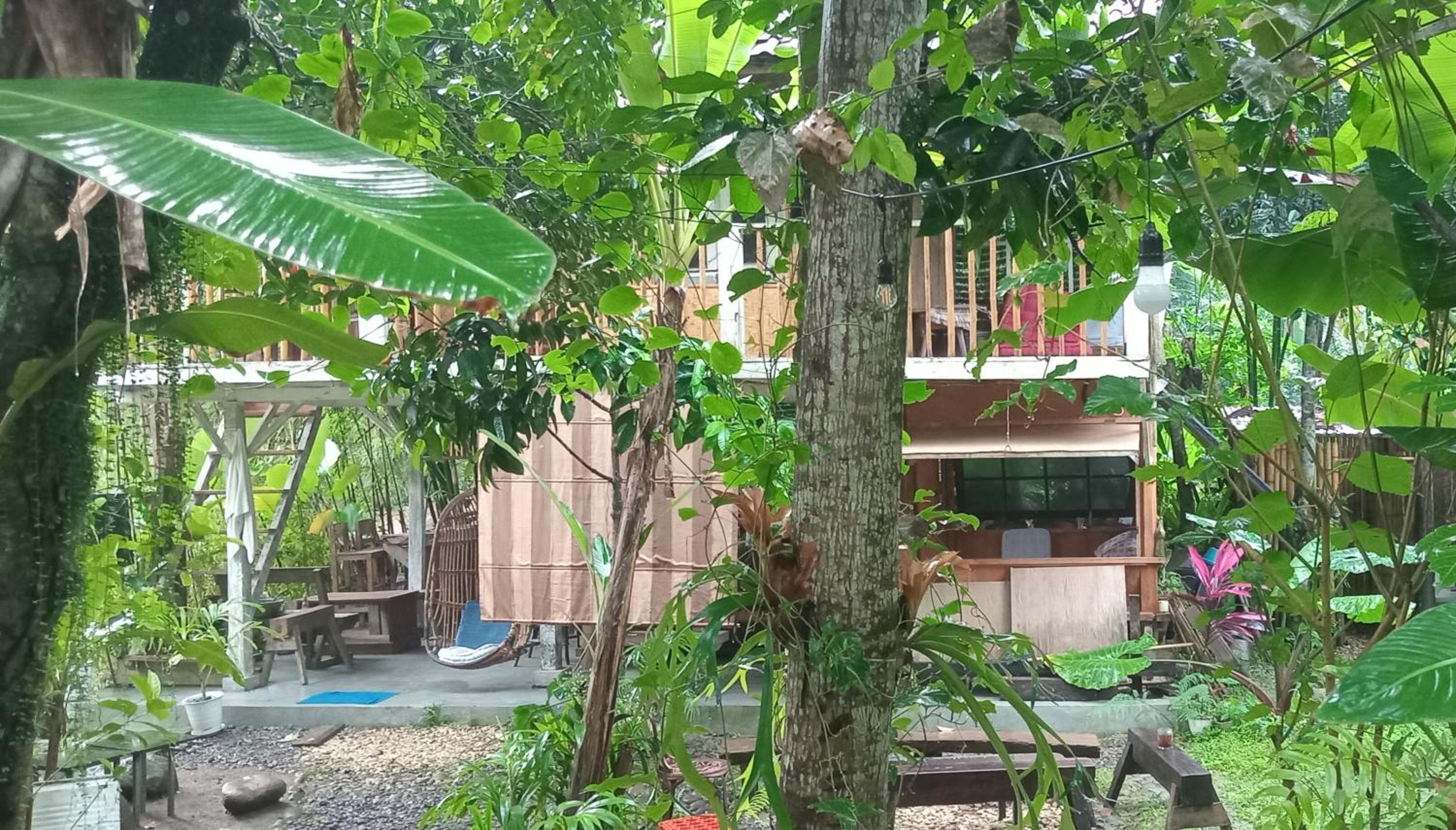 hijau