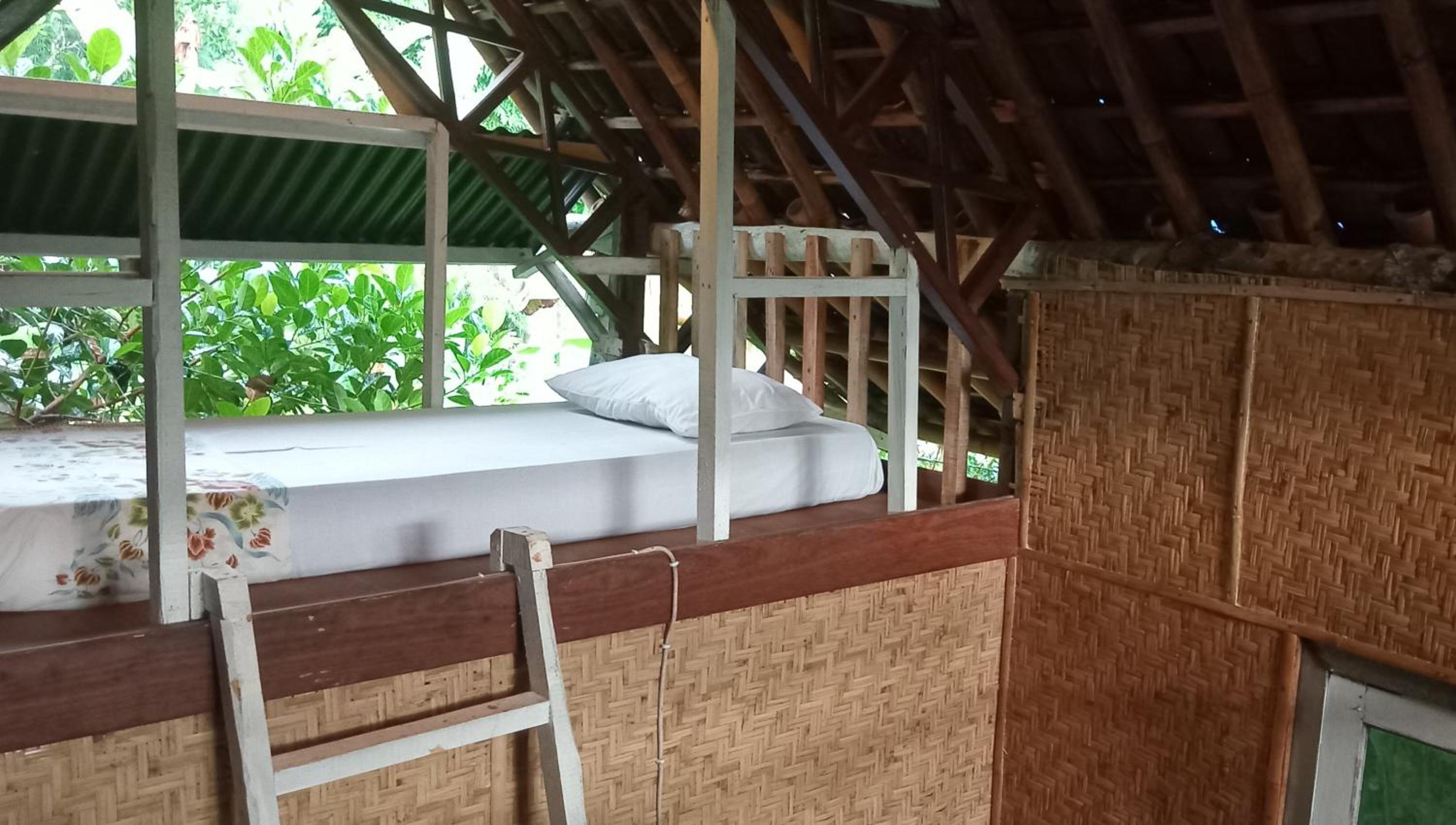 hijau