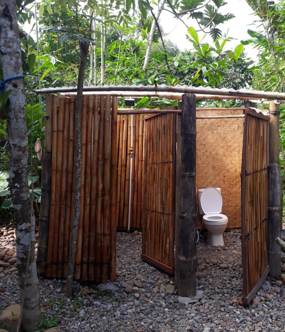 hijau