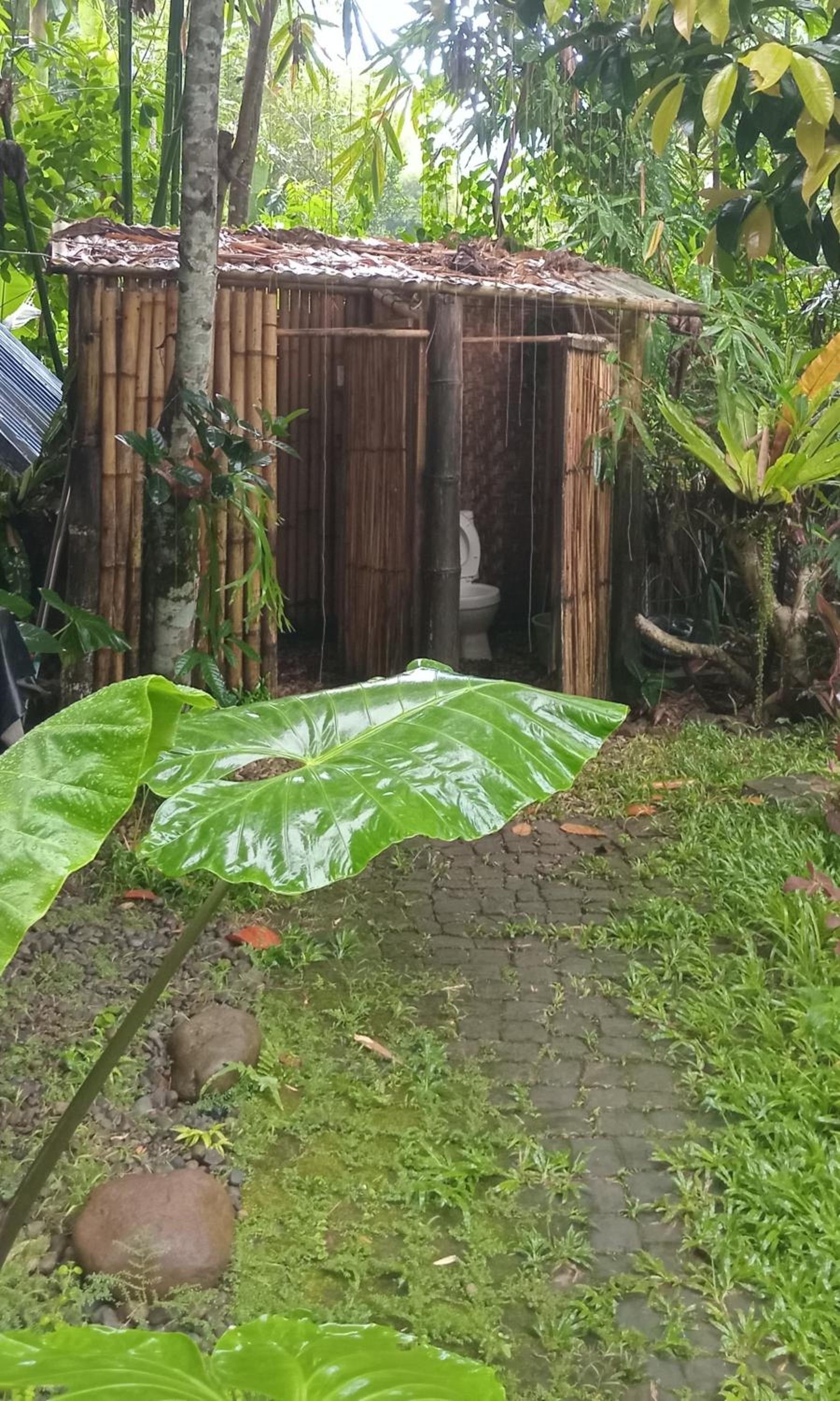 hijau