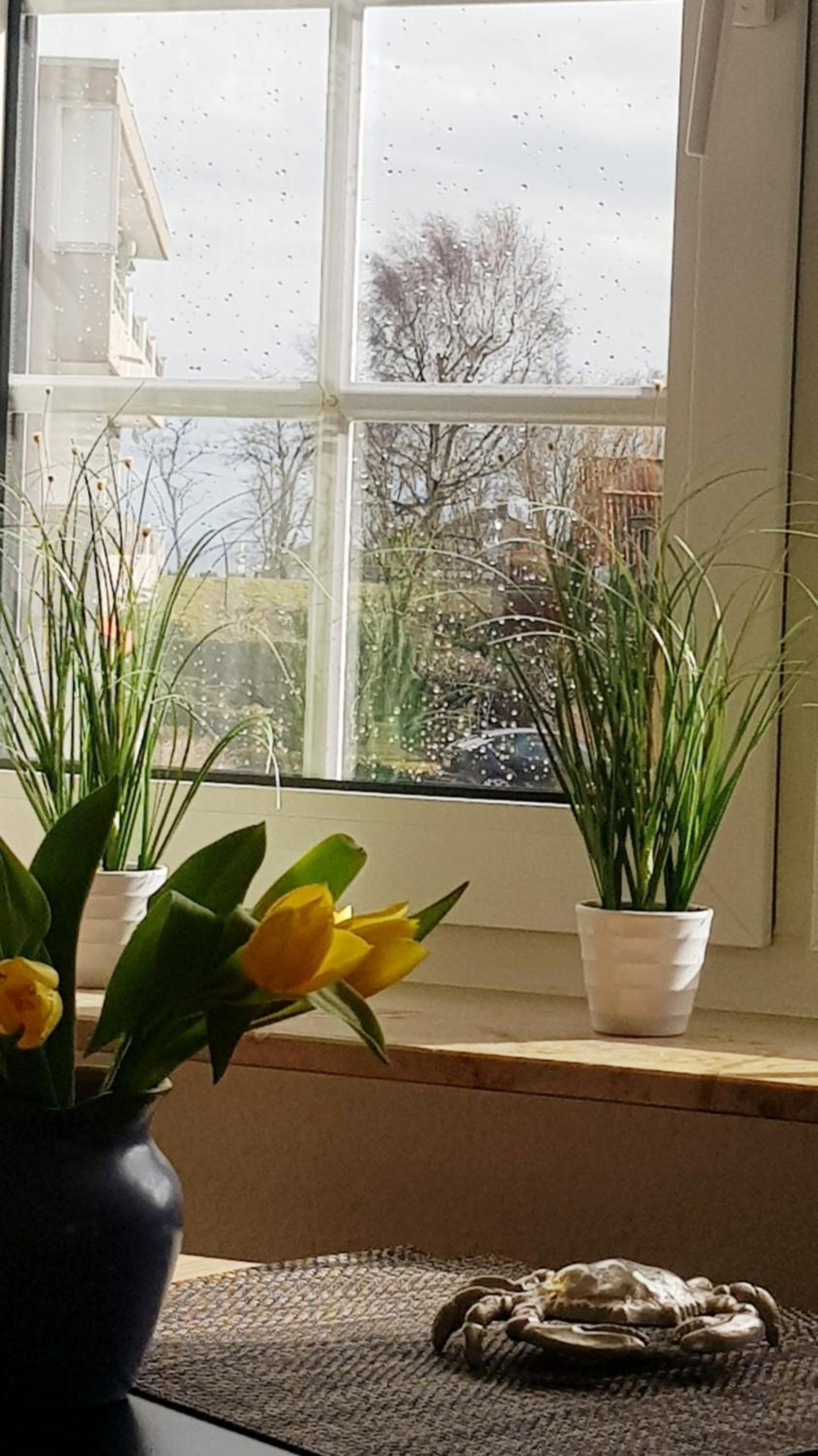 Fienchen - Helle, komfortable Ferienwohnung zum Wohlfühlen nah am Strand, Promenade und Dünenpark