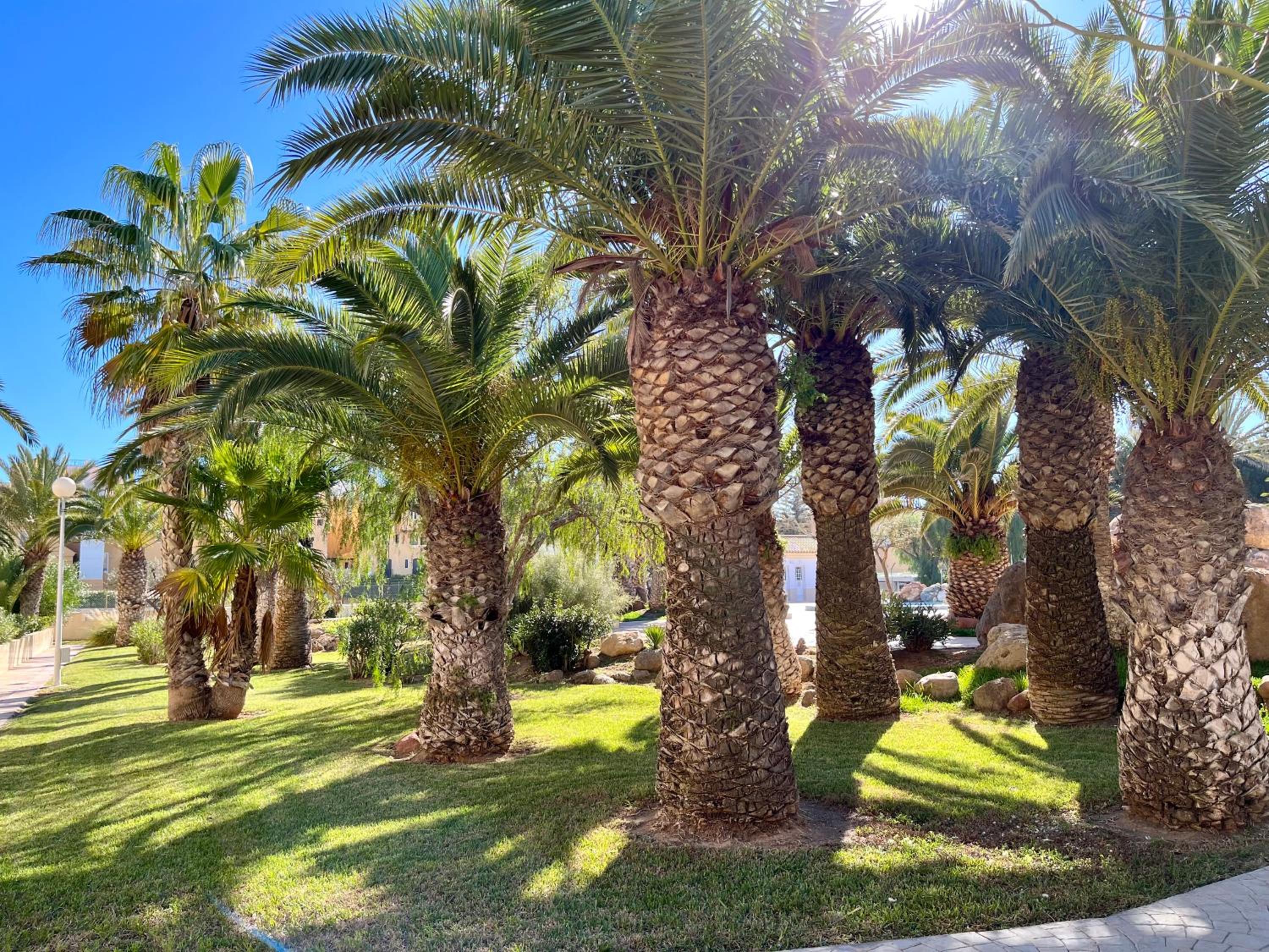 Apartamentos Moguima