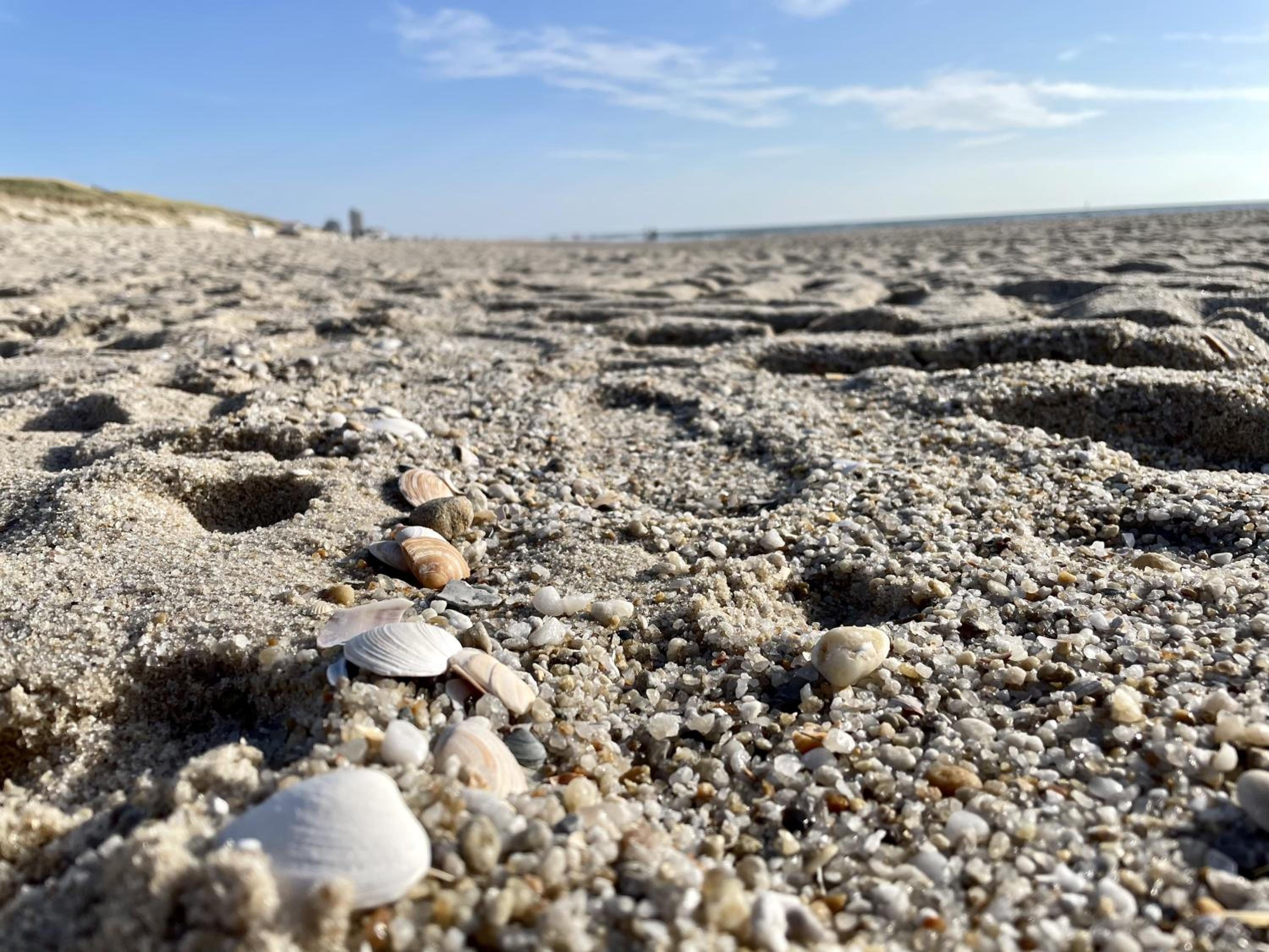 Strandperle, fotografía 5