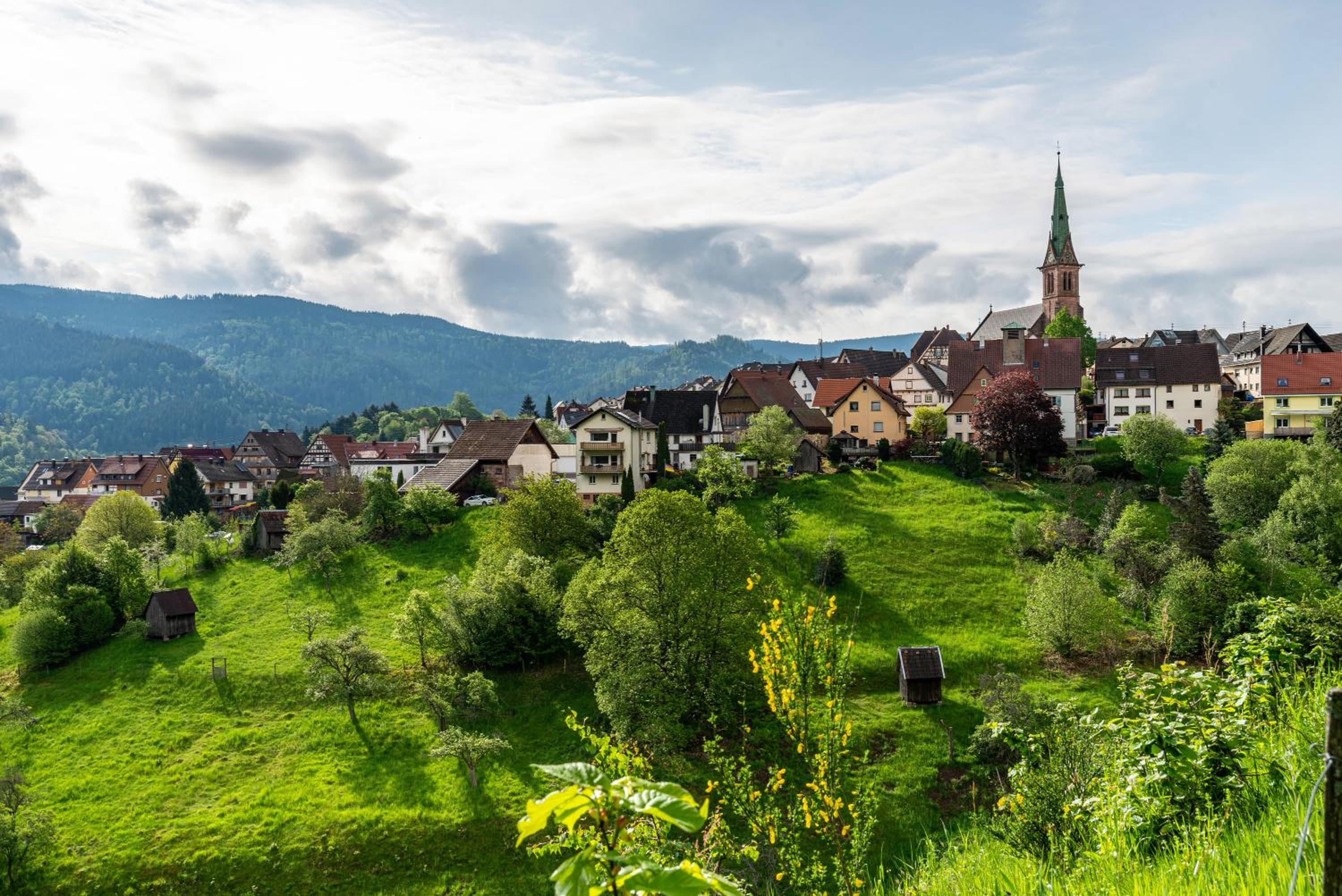 Bergblick