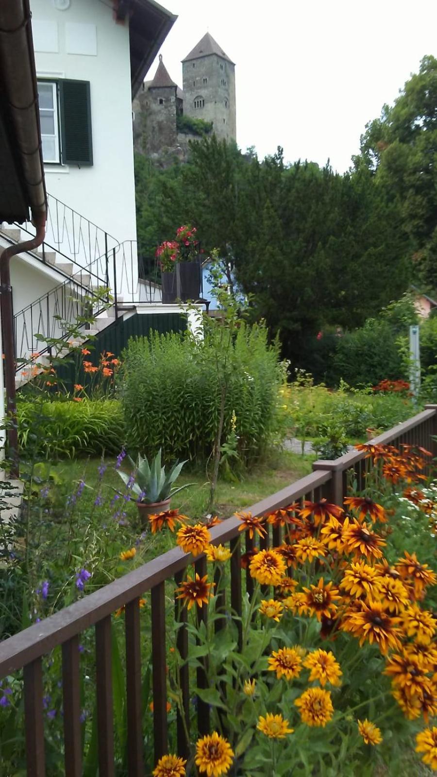 Burgblick-Hardegg