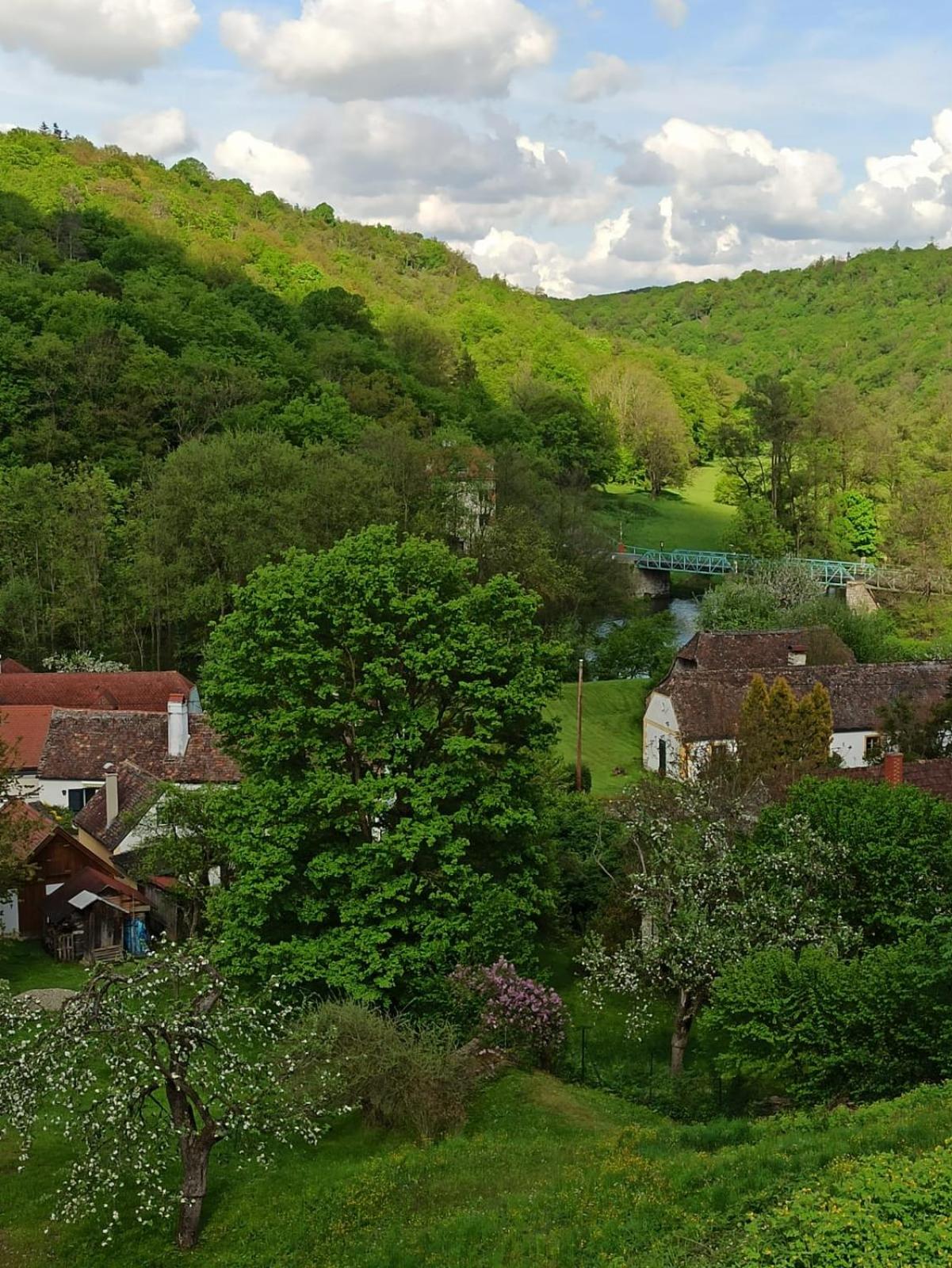Burgblick-Hardegg