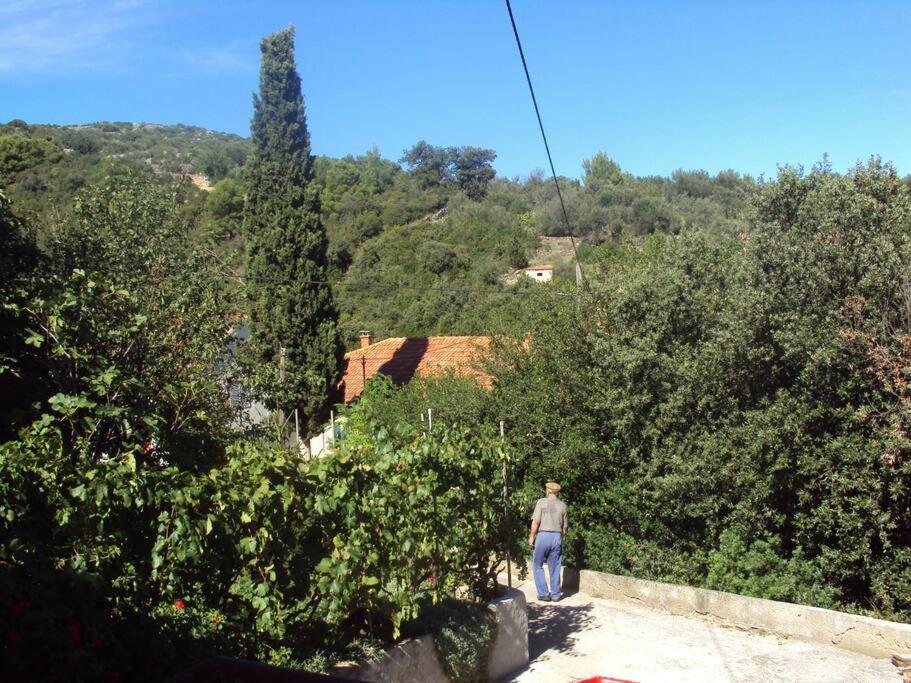 Photo 34
