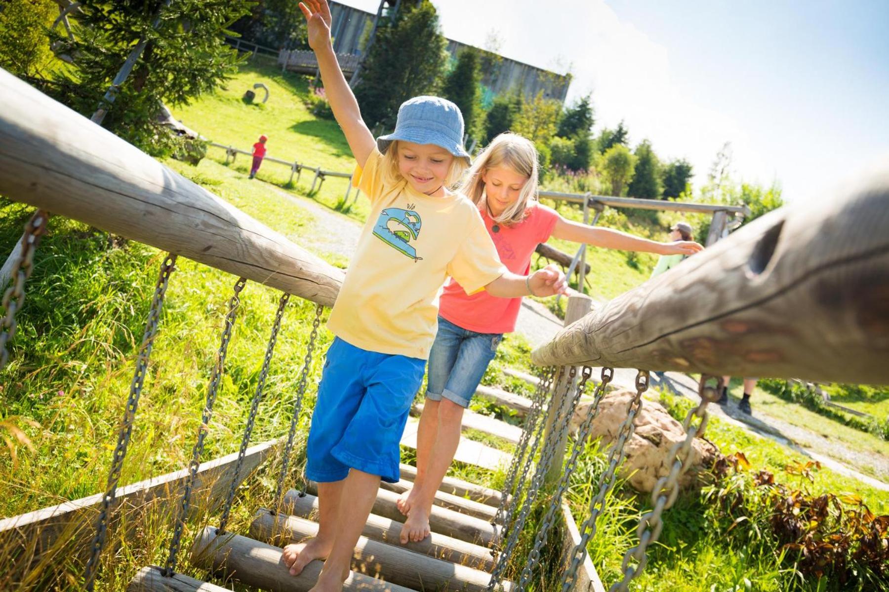 vomLandl Natur Lofts & Apartments Leogang