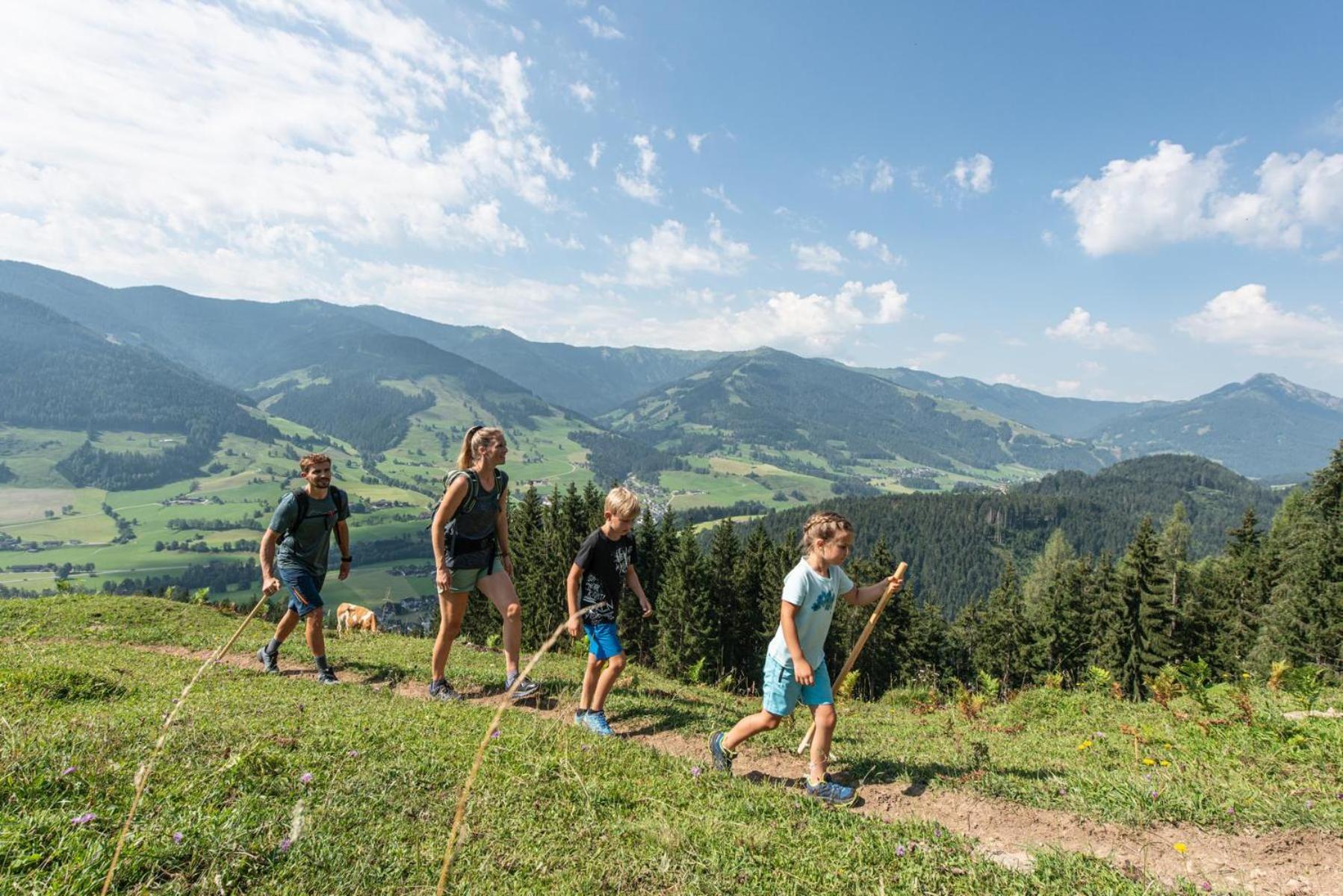 vomLandl Natur Lofts & Apartments Leogang