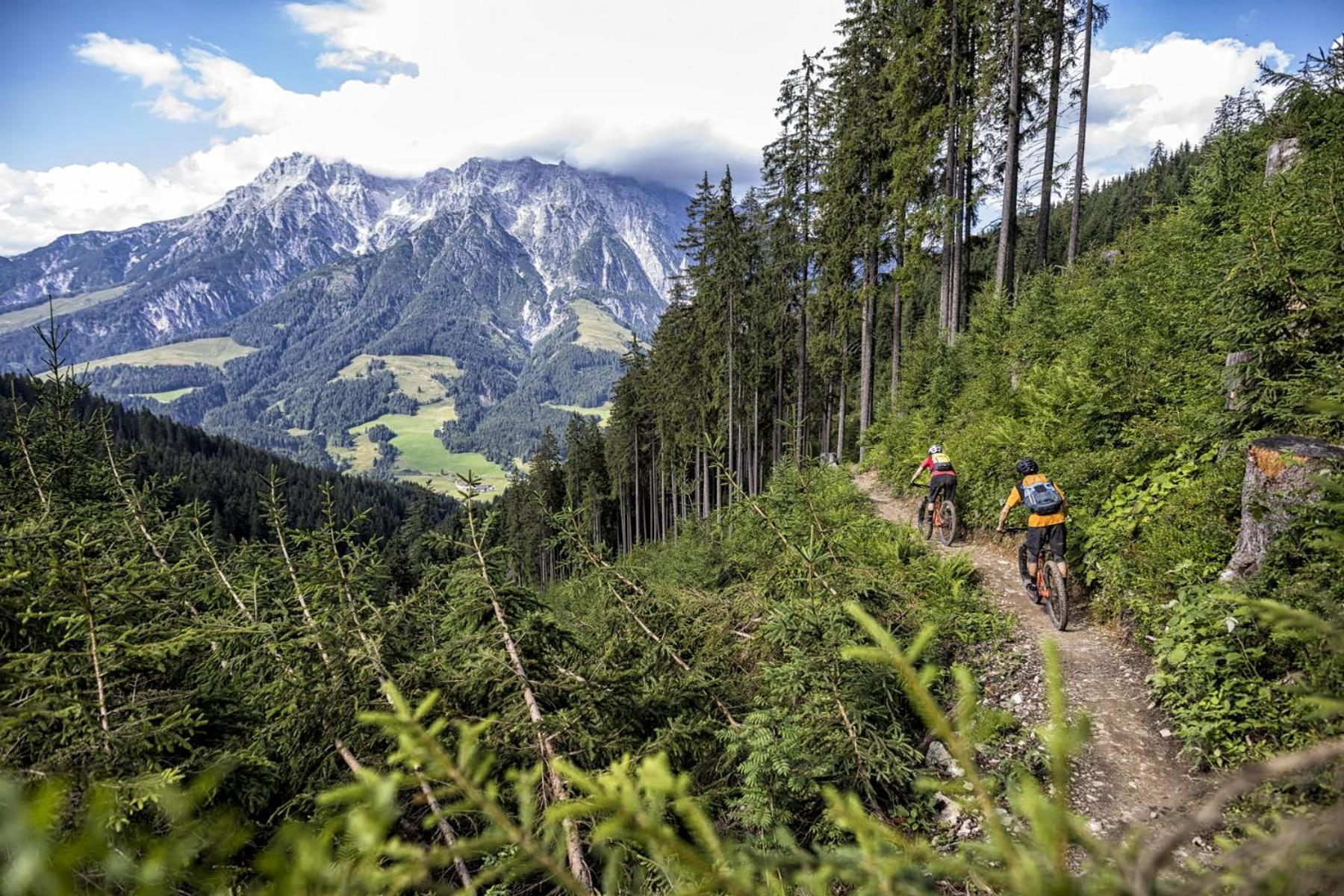 vomLandl Natur Lofts & Apartments Leogang