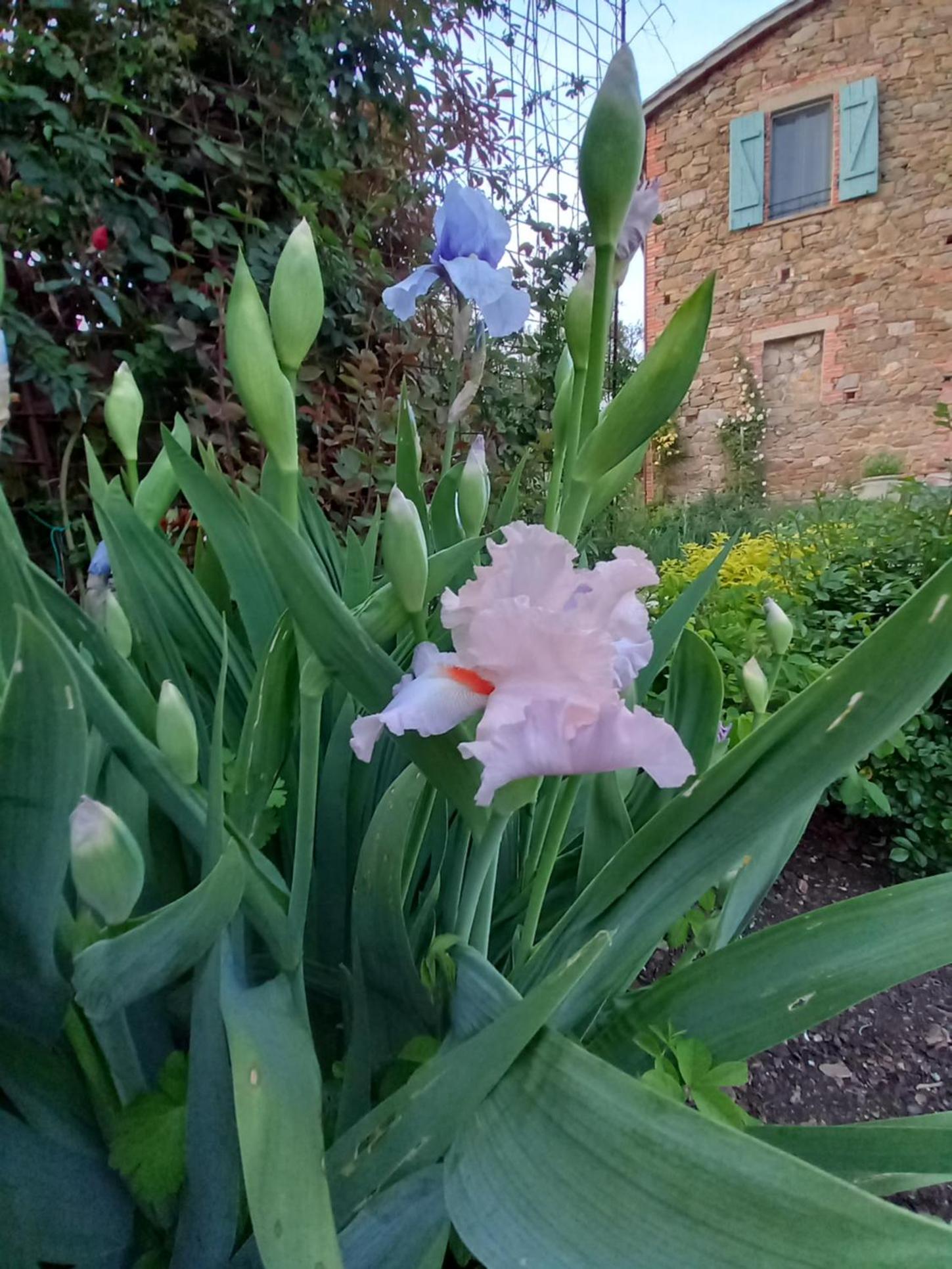 Photo 43