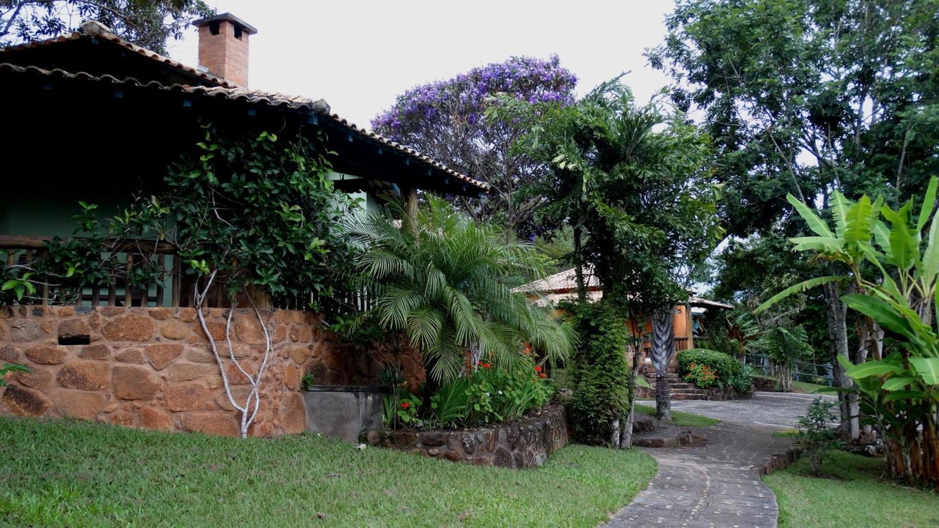 Photo 45
