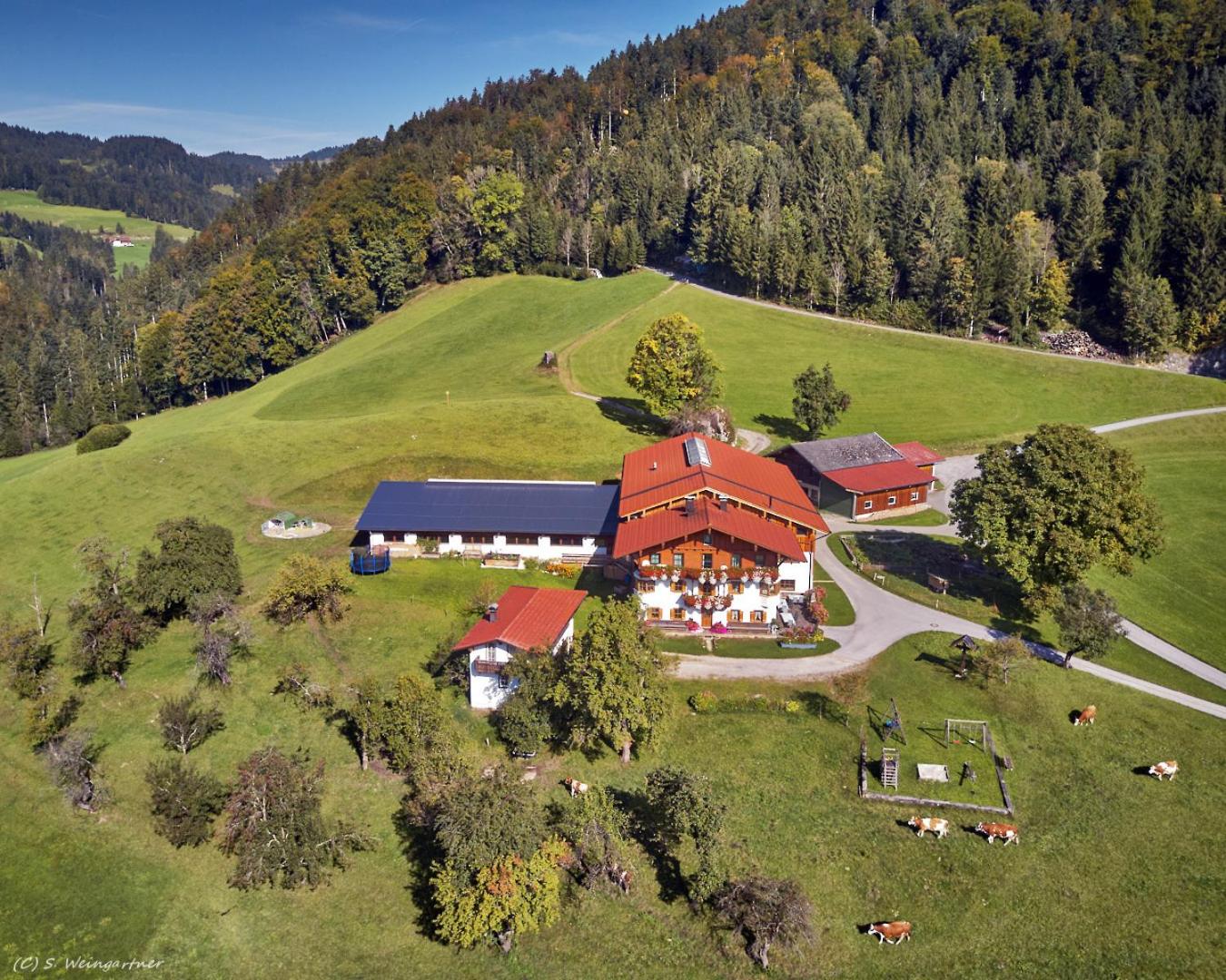 Biobauernhof und Ferienhaus Riederbauer