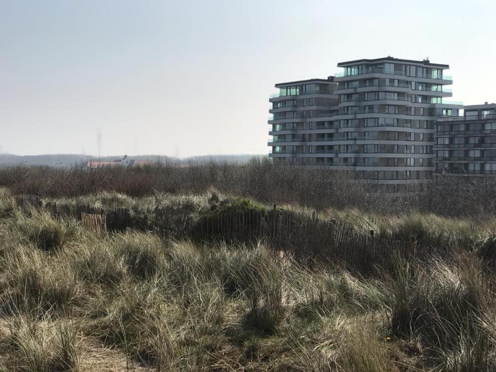 The One - New luxury beachfront apartment