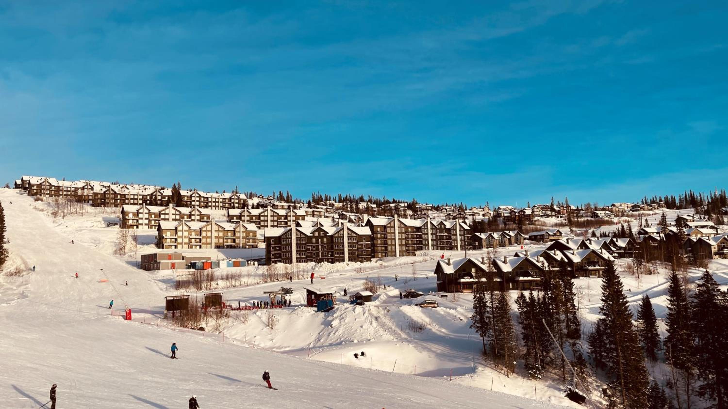 Sadelbyn Fjällhem