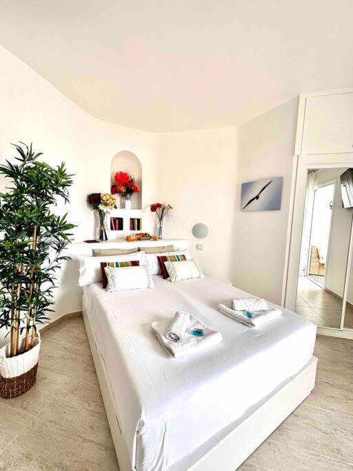 Mirador Paraiso: Superb Sea View