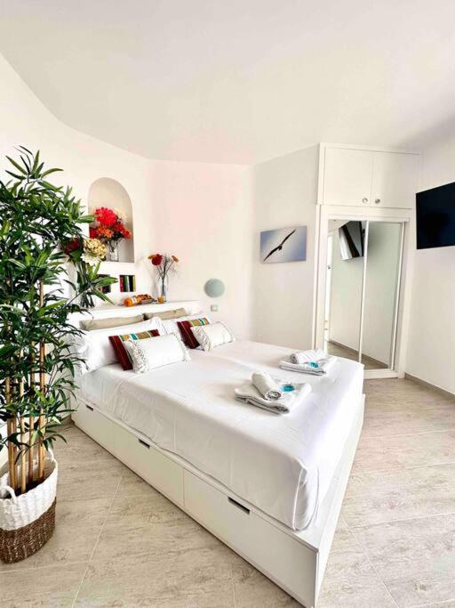 Mirador Paraiso: Superb Sea View