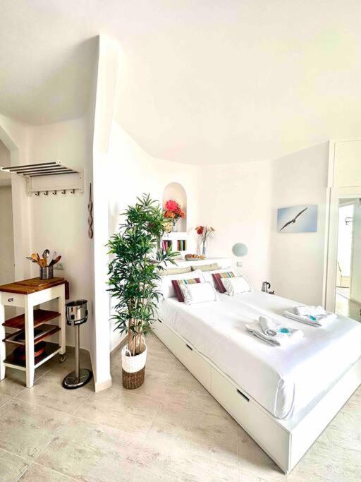 Mirador Paraiso: Superb Sea View