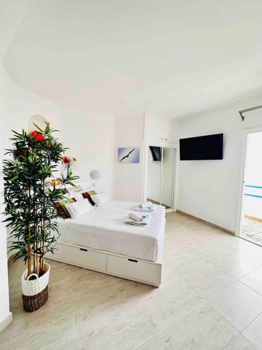 Mirador Paraiso: Superb Sea View
