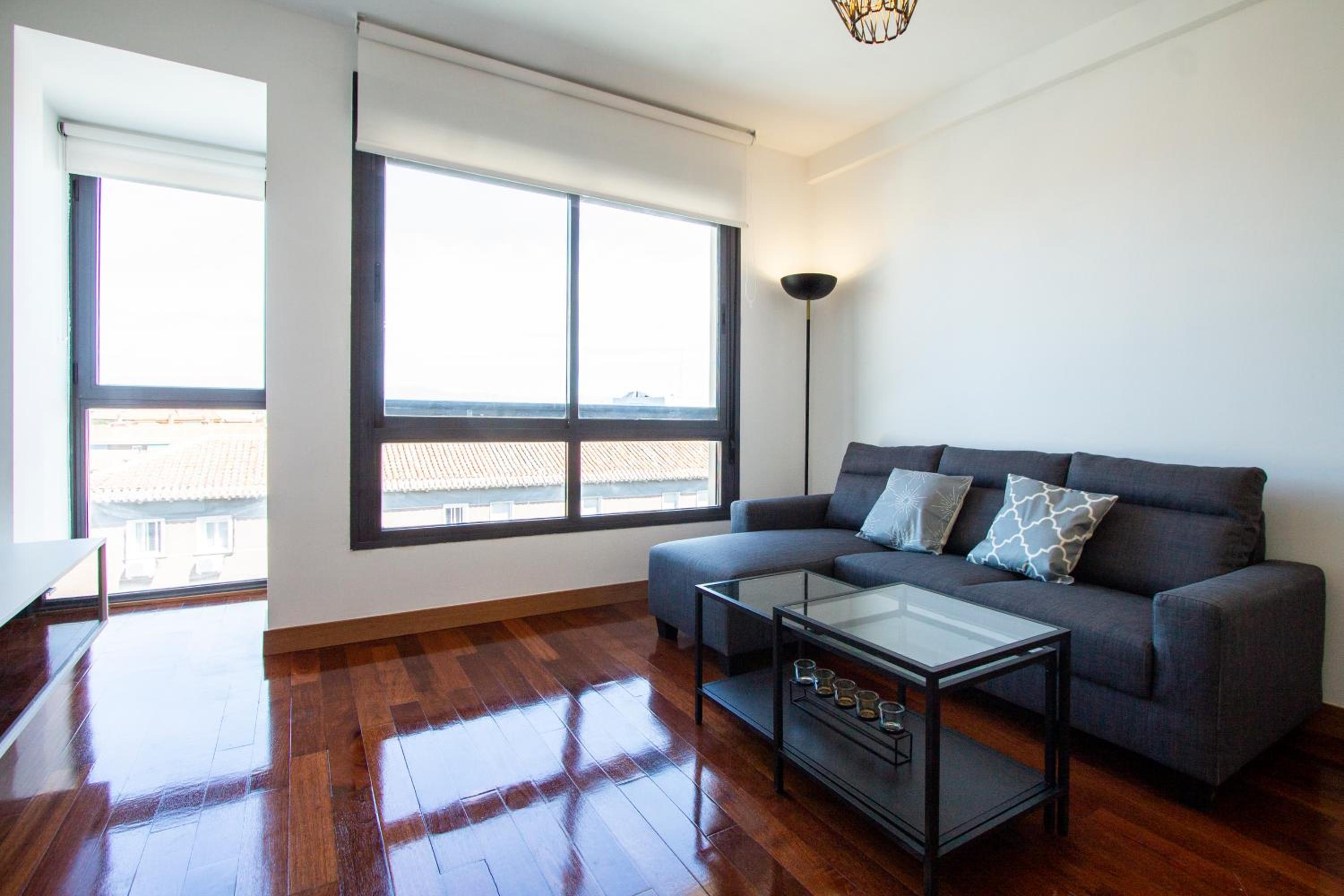 Apartamentos Castilla Luz Business