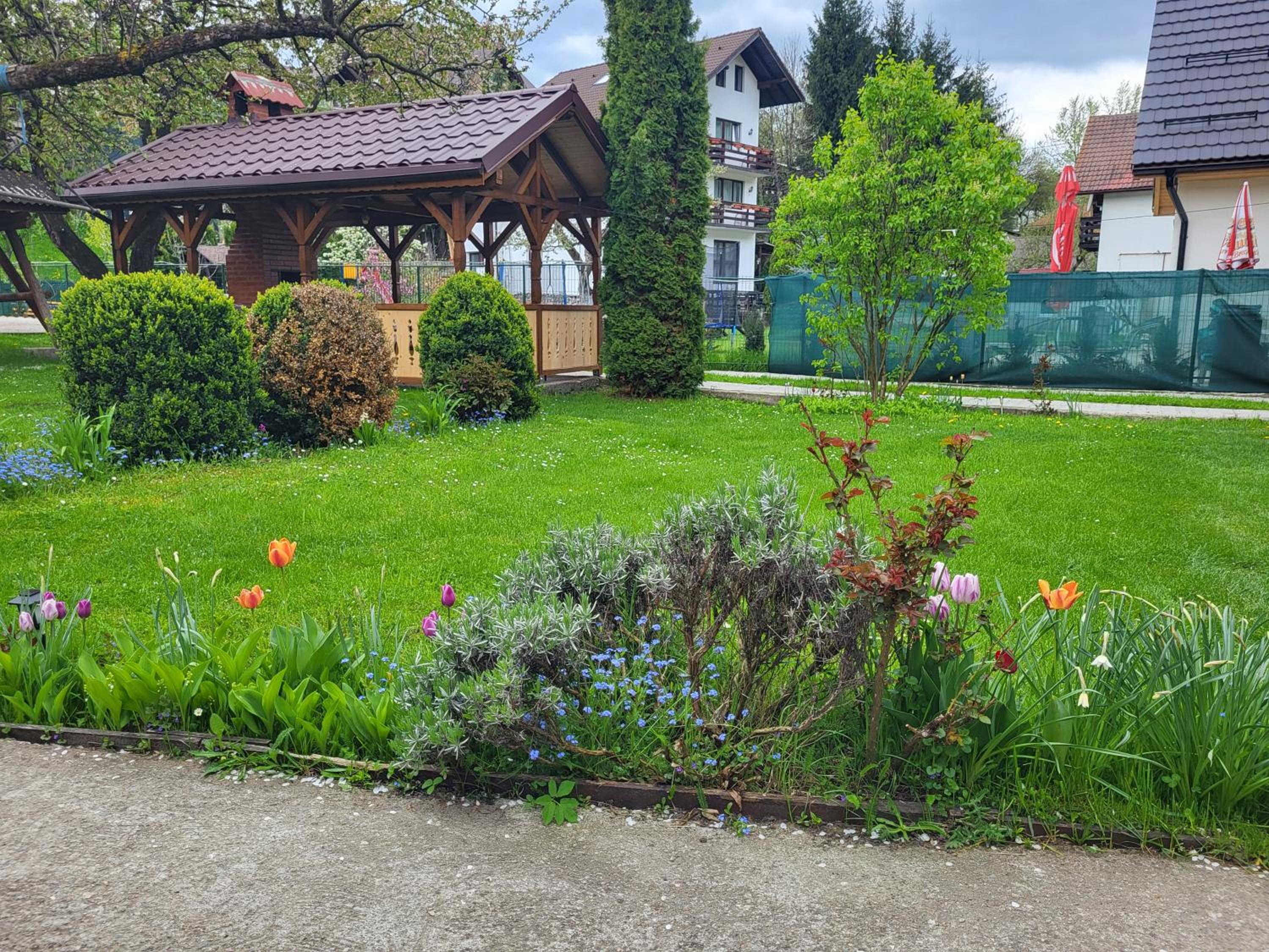 Casa ERNST view 4