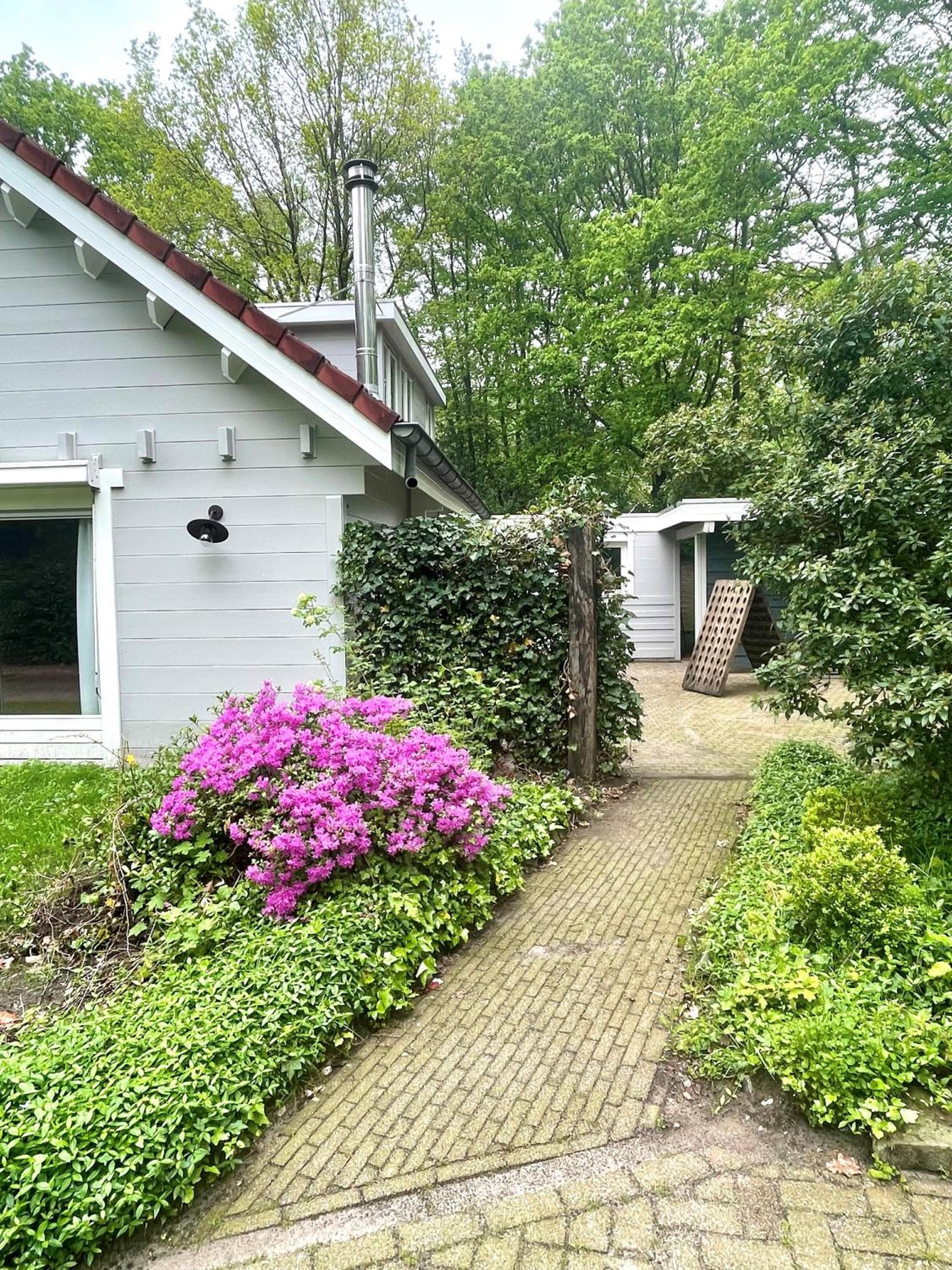 Photo 31