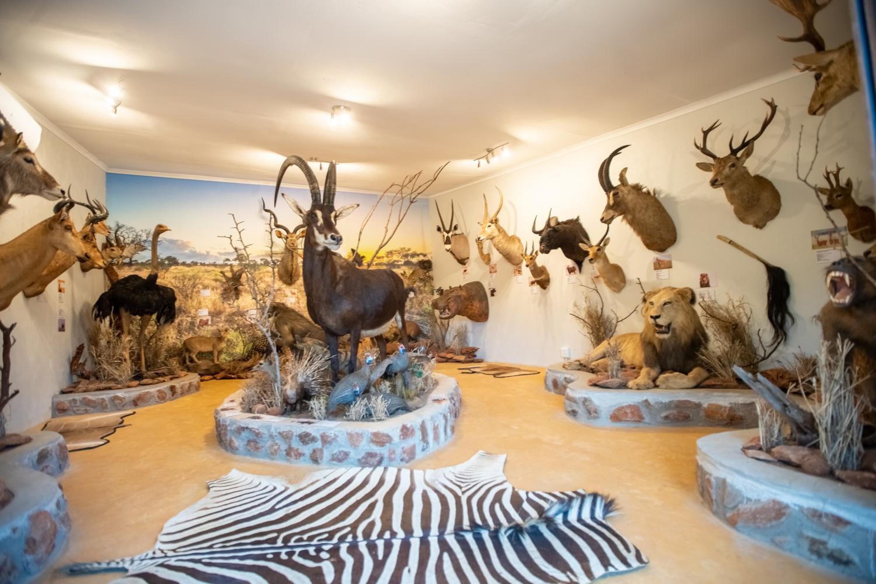 Kilima Private Game Reserve & Spa