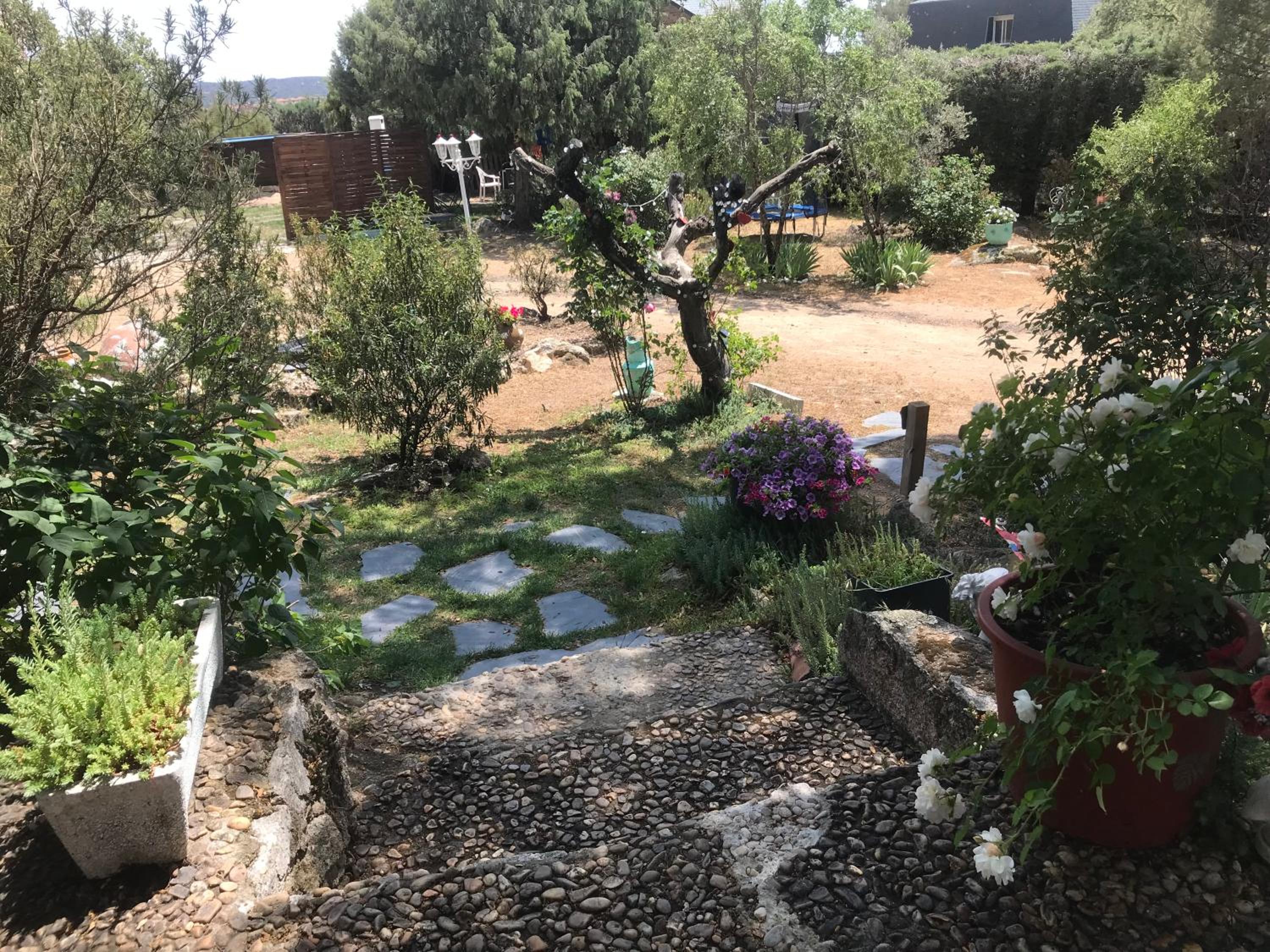 Photo 21