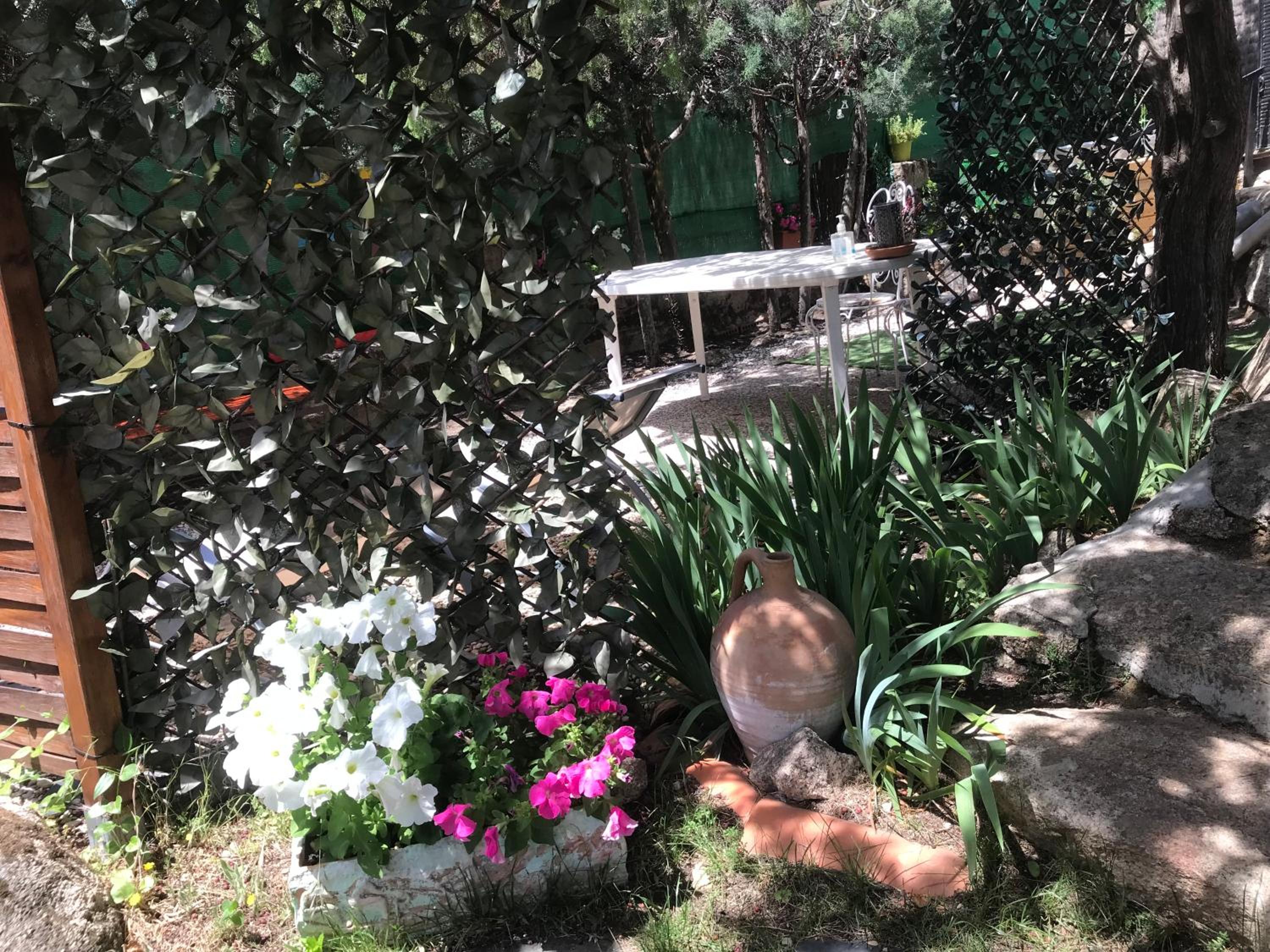 Photo 22